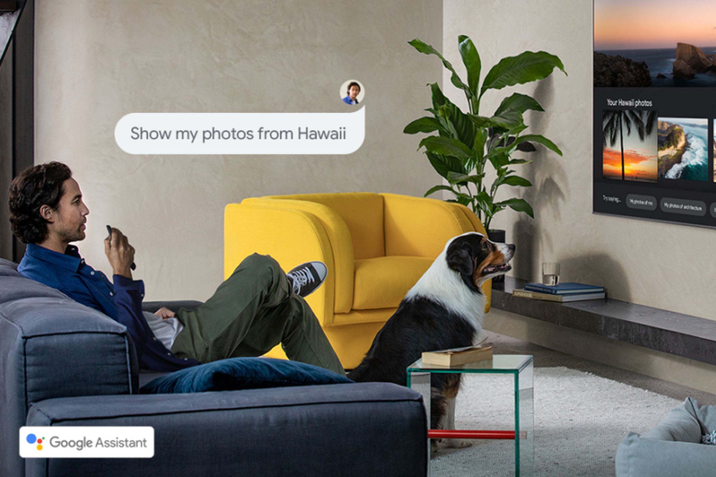 The voice assistant integrates with other Google services like Photos.