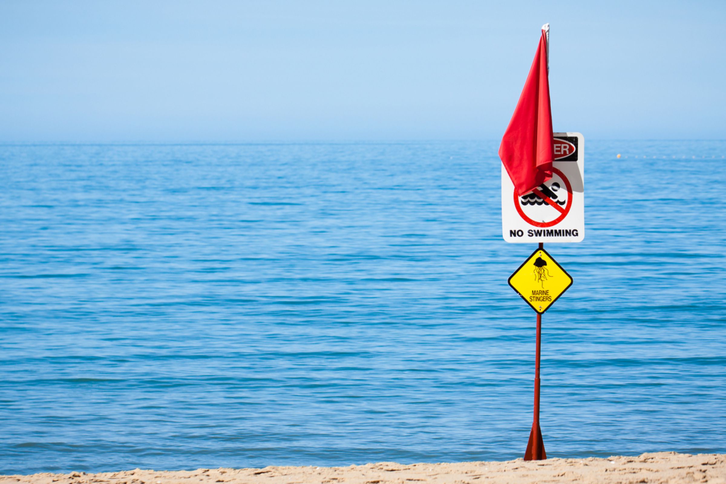Jellyfish warning (Shutterstock)