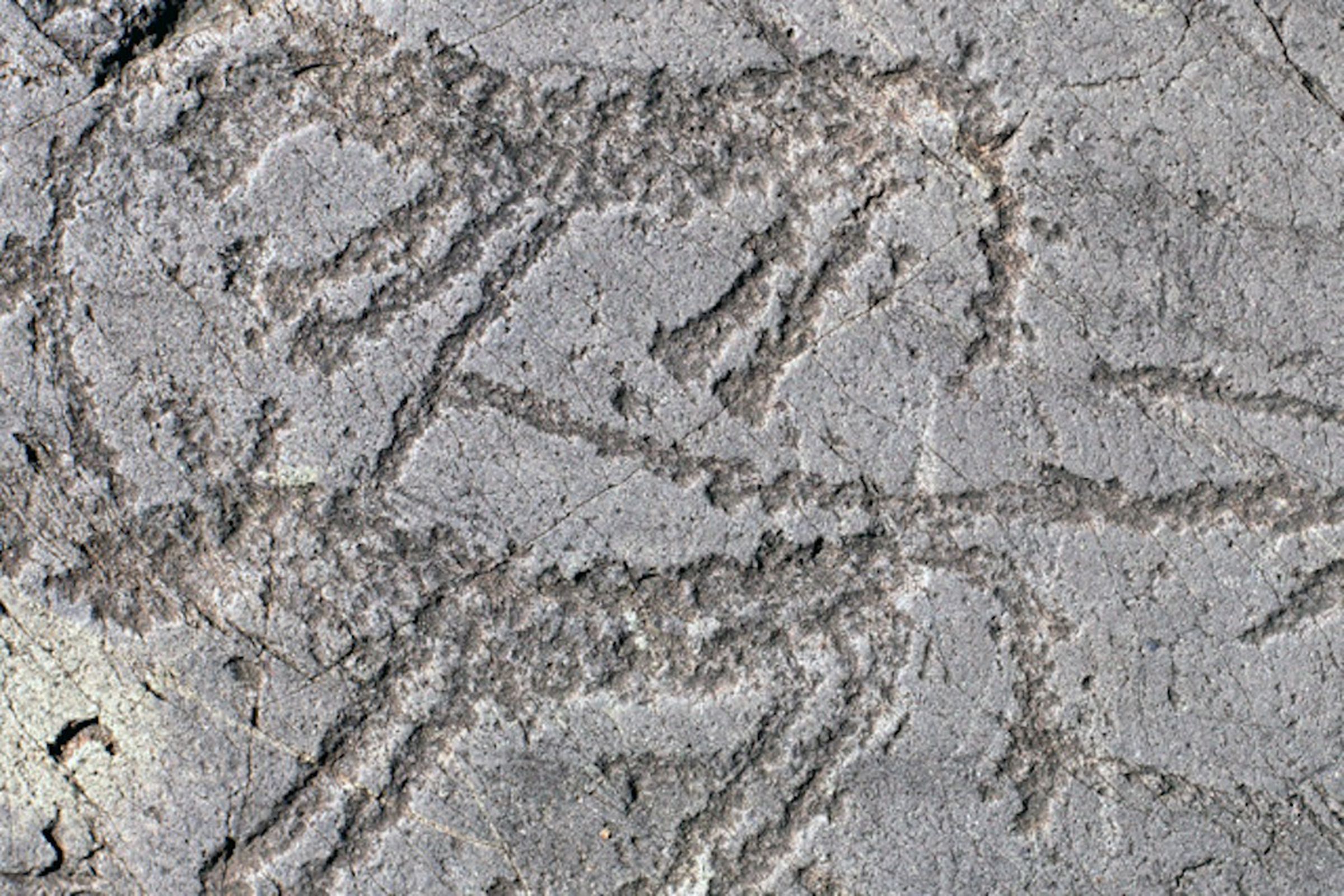 Prehistoric engravings in Italian Alps (Credit: Pitoti.org)