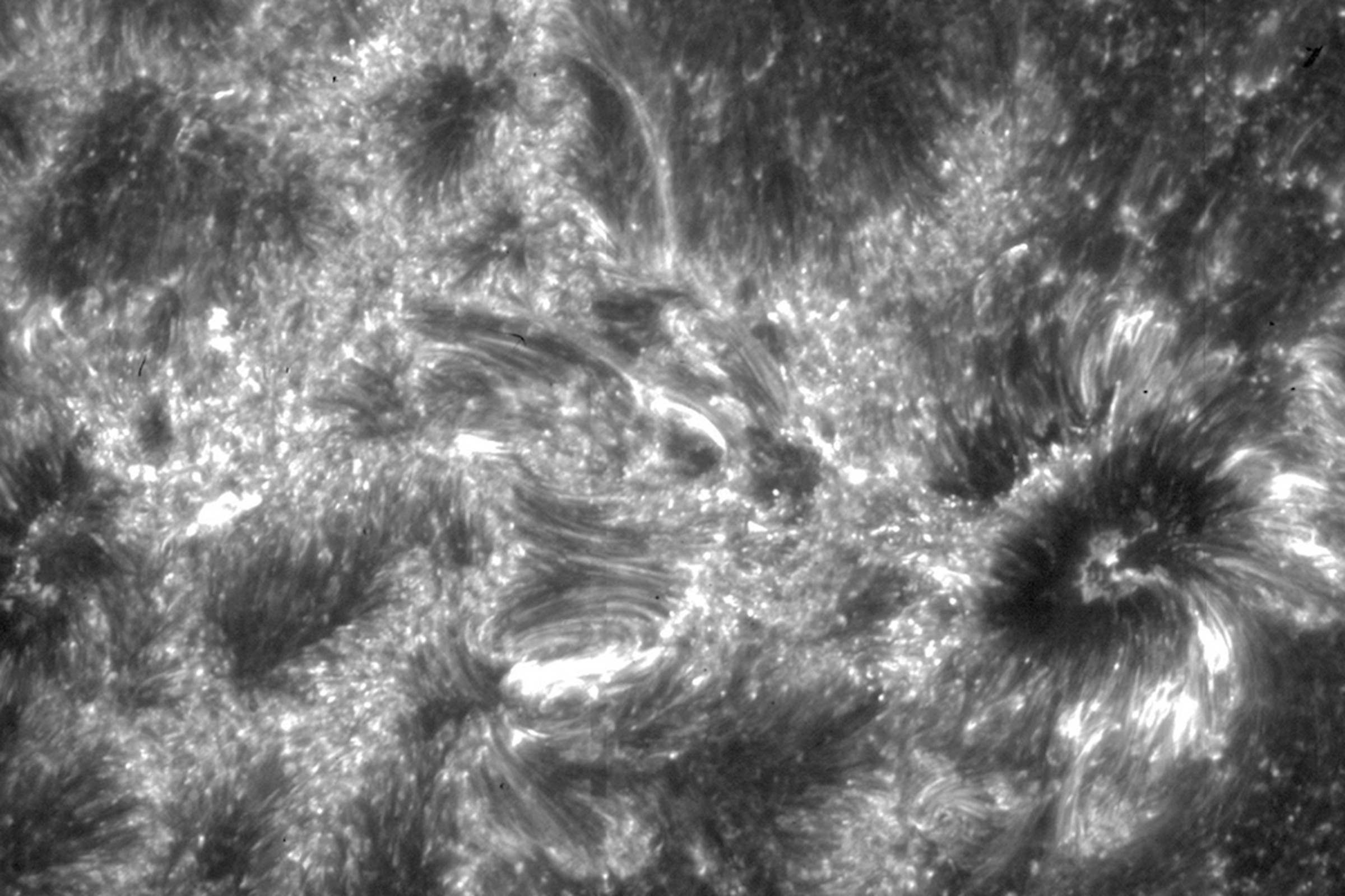 NASA IRIS Sun atmosphere (Credit: NASA/IRIS)