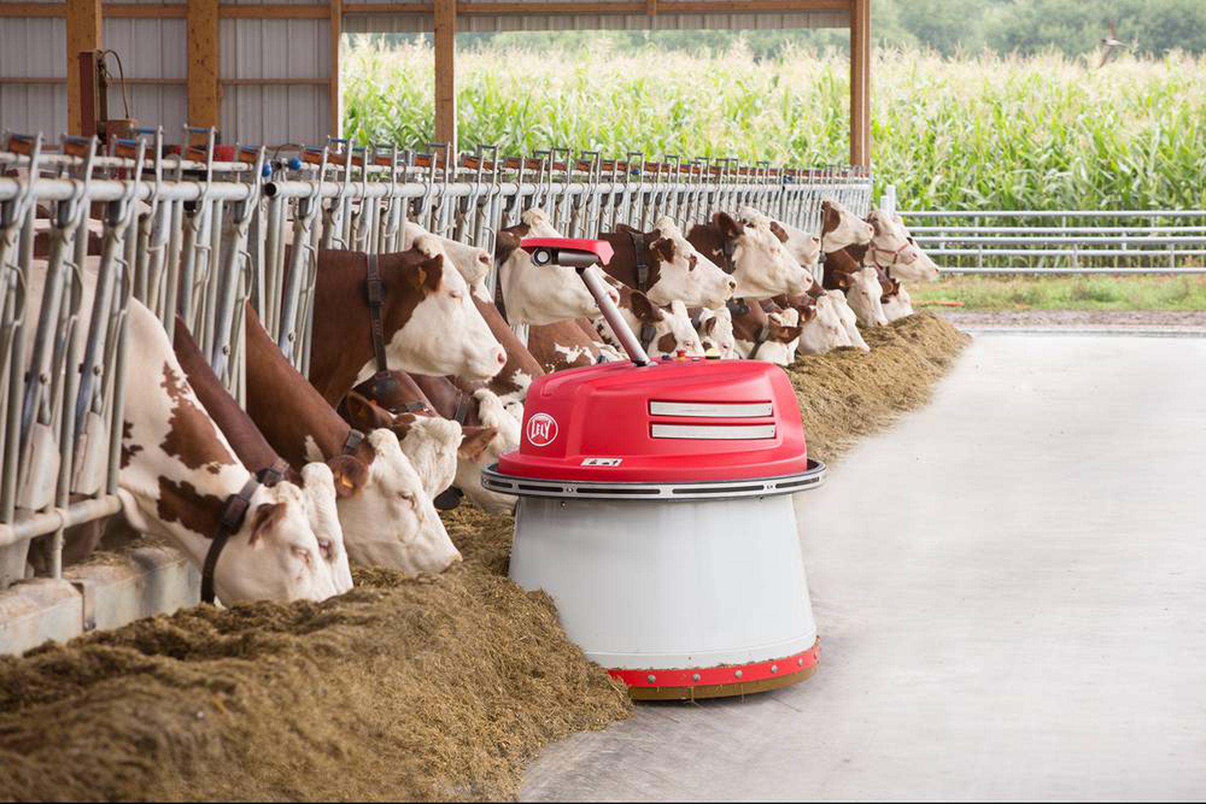 Robots are becoming increasingly common in agriculture, as with this machine made by Dutch firm Lely, which pushes cattle feed back toward their pens.