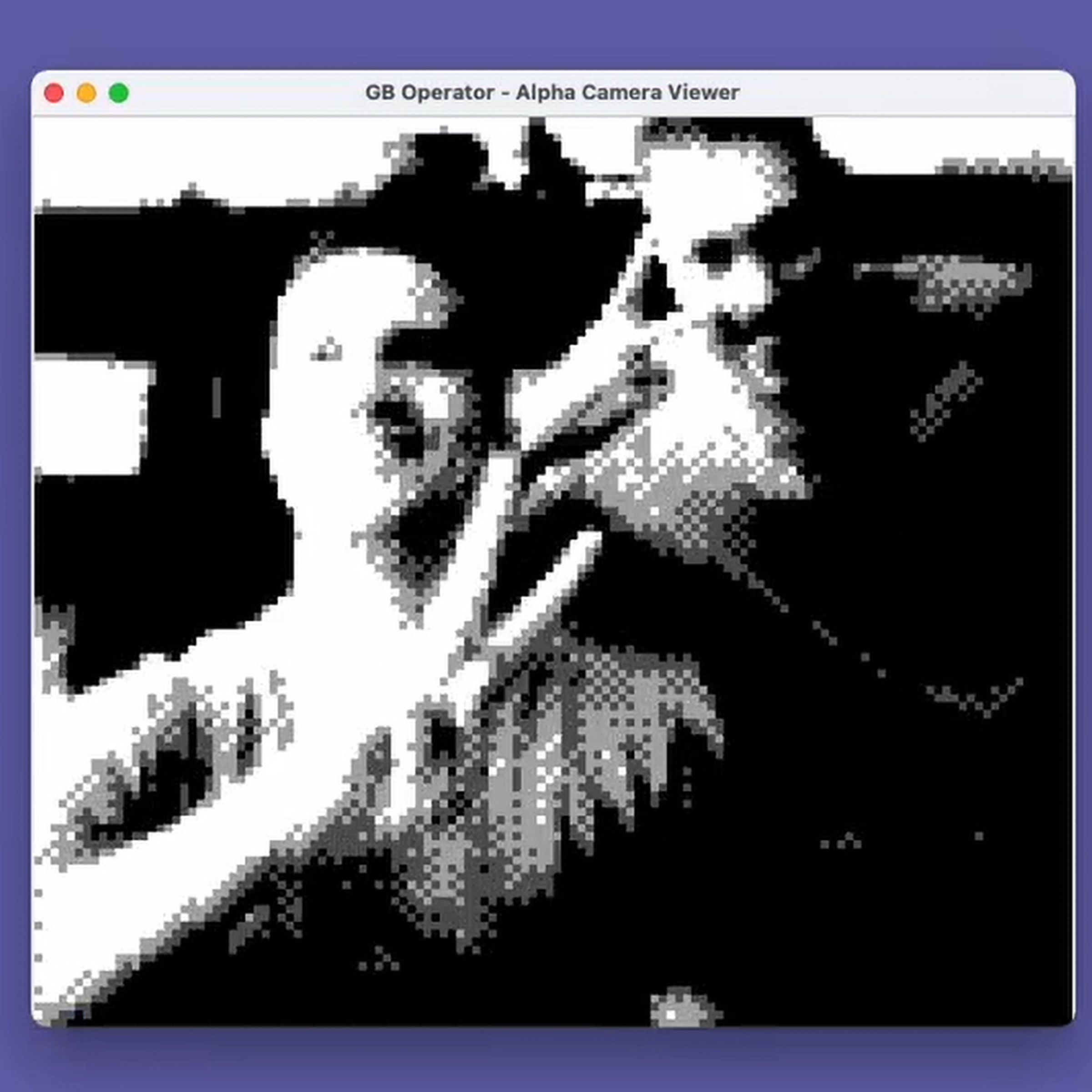 A low-resolution image of two people being livestreamed through the Game Boy Camera.