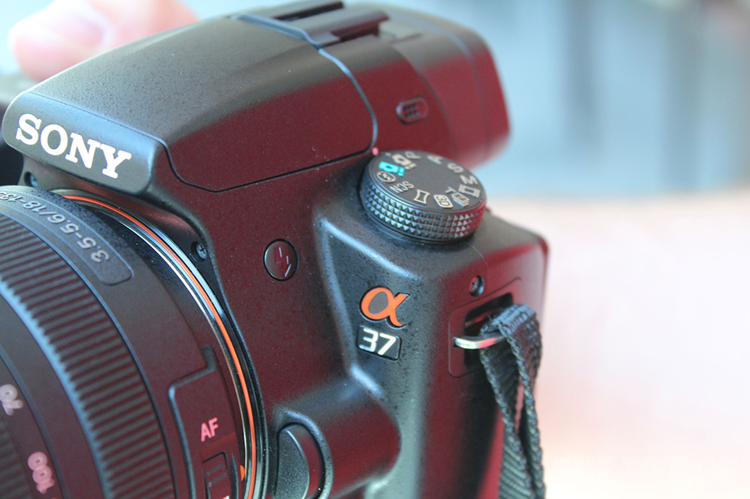 Sony Alpha SLT-A37 hands-on pictures
