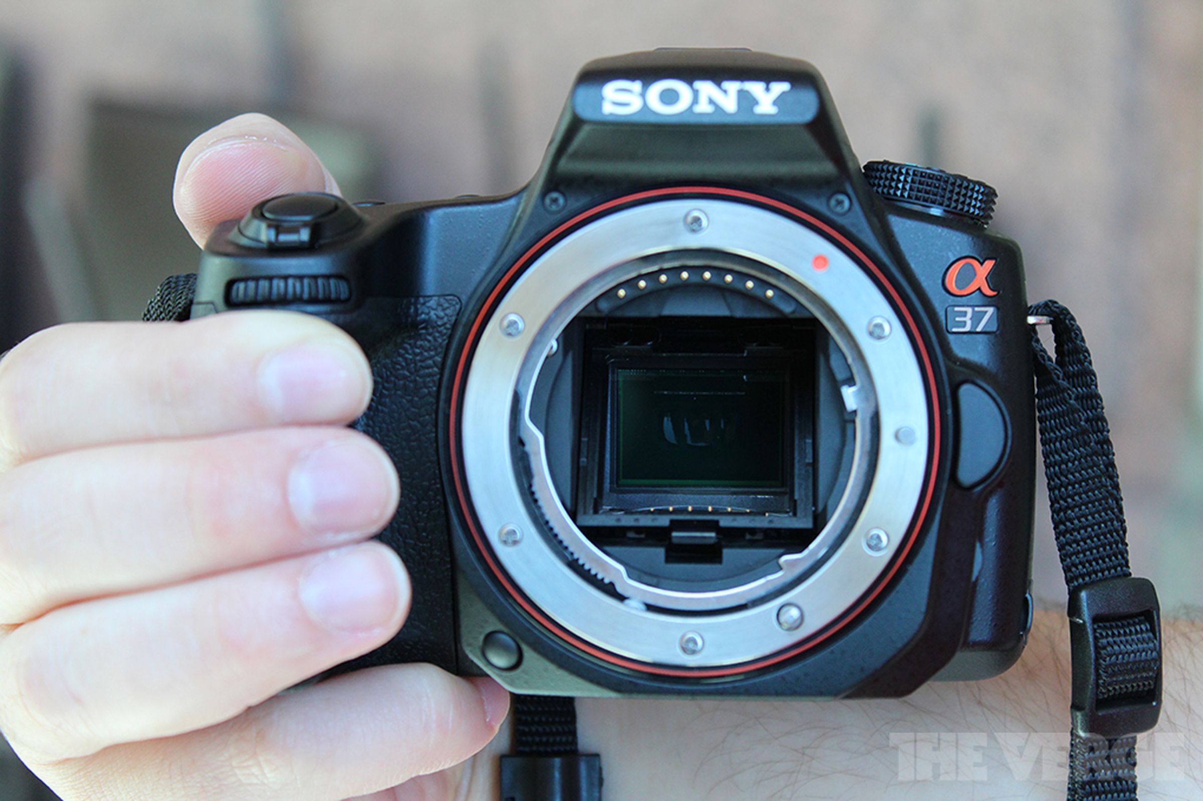 Sony Alpha SLT-A37 hands-on pictures