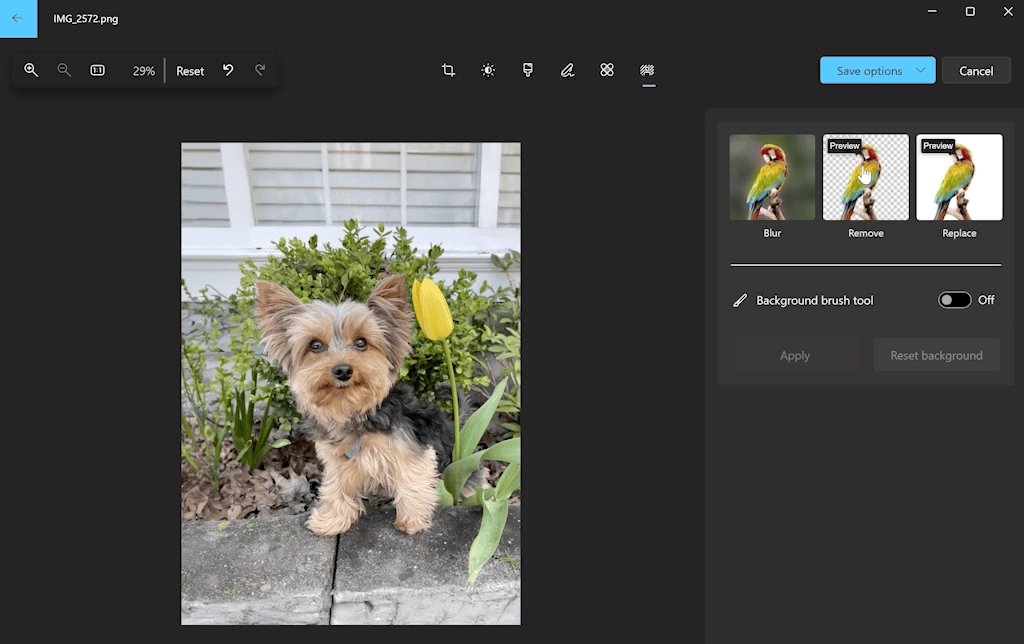 A GIF showing the background removal tool in Windows Photos