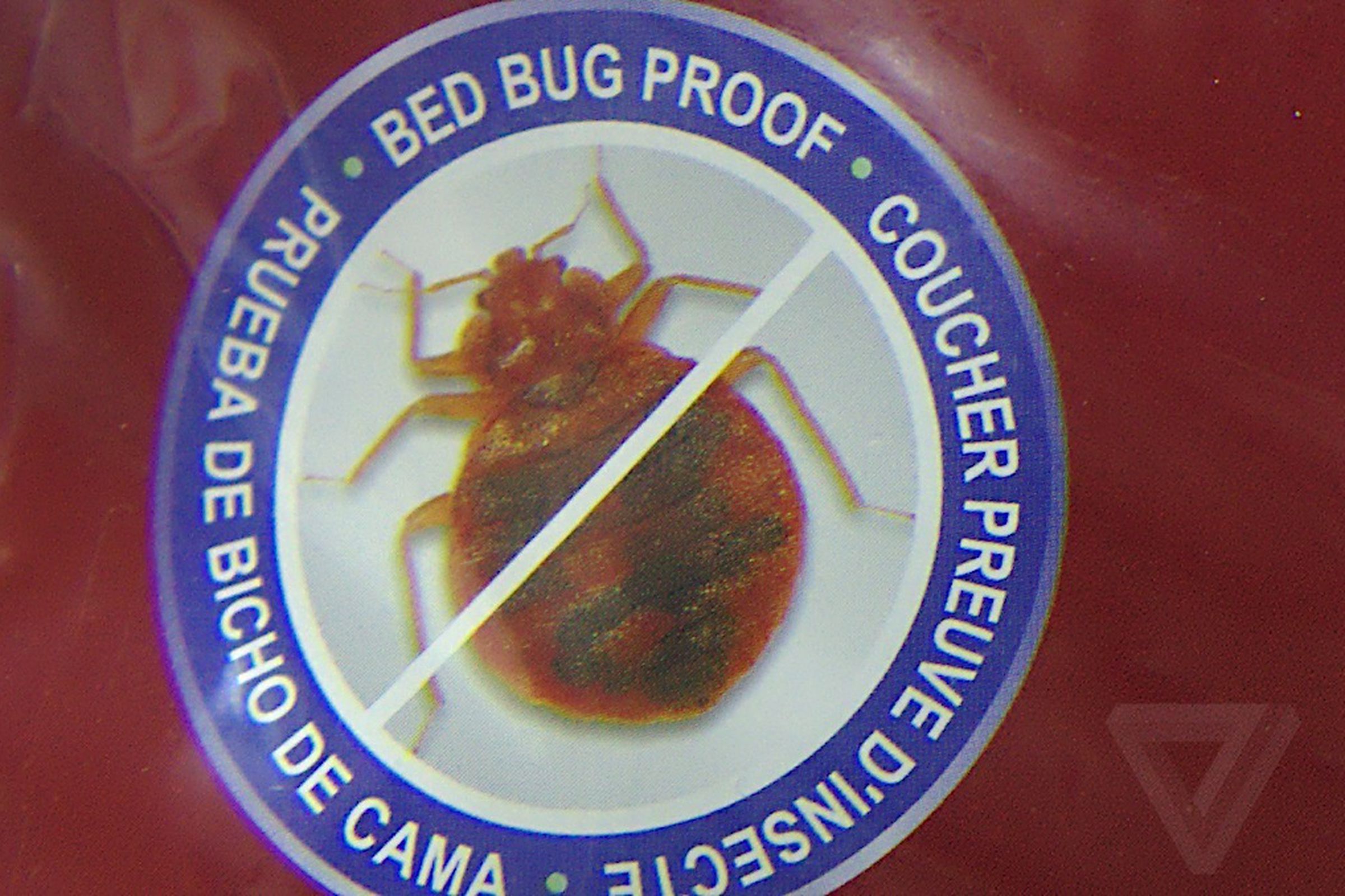 bedbug1