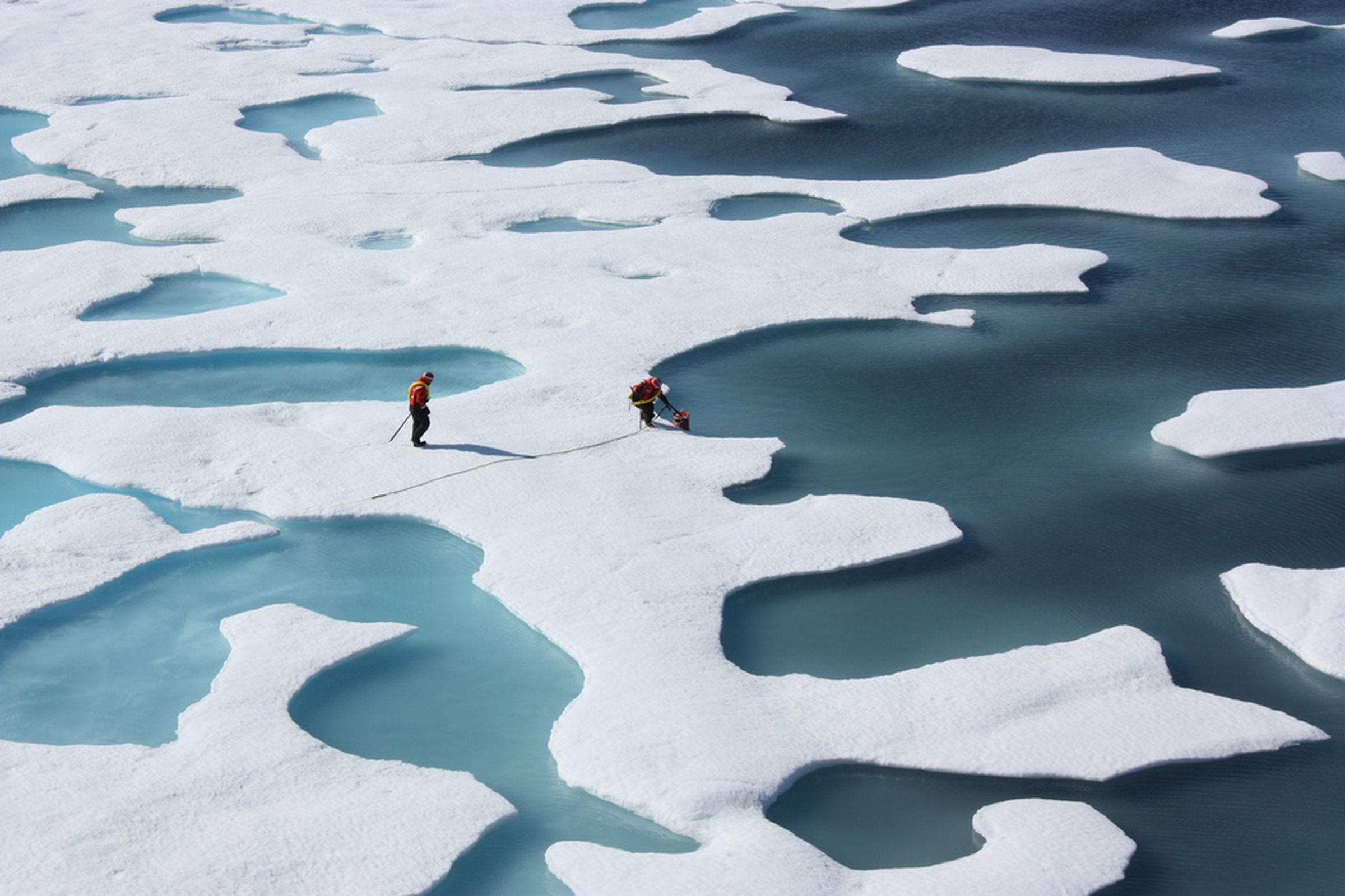 NASA ICESCAPE, melt ponds on Arctic sea ice