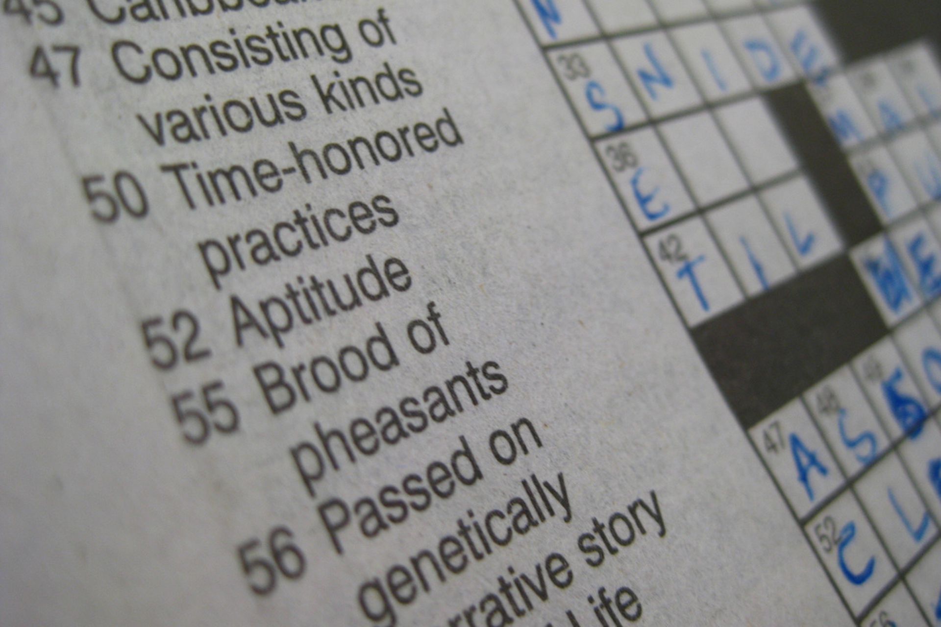 Collaborative NYT crosswords return to Twitch over Thanksgiving weekend