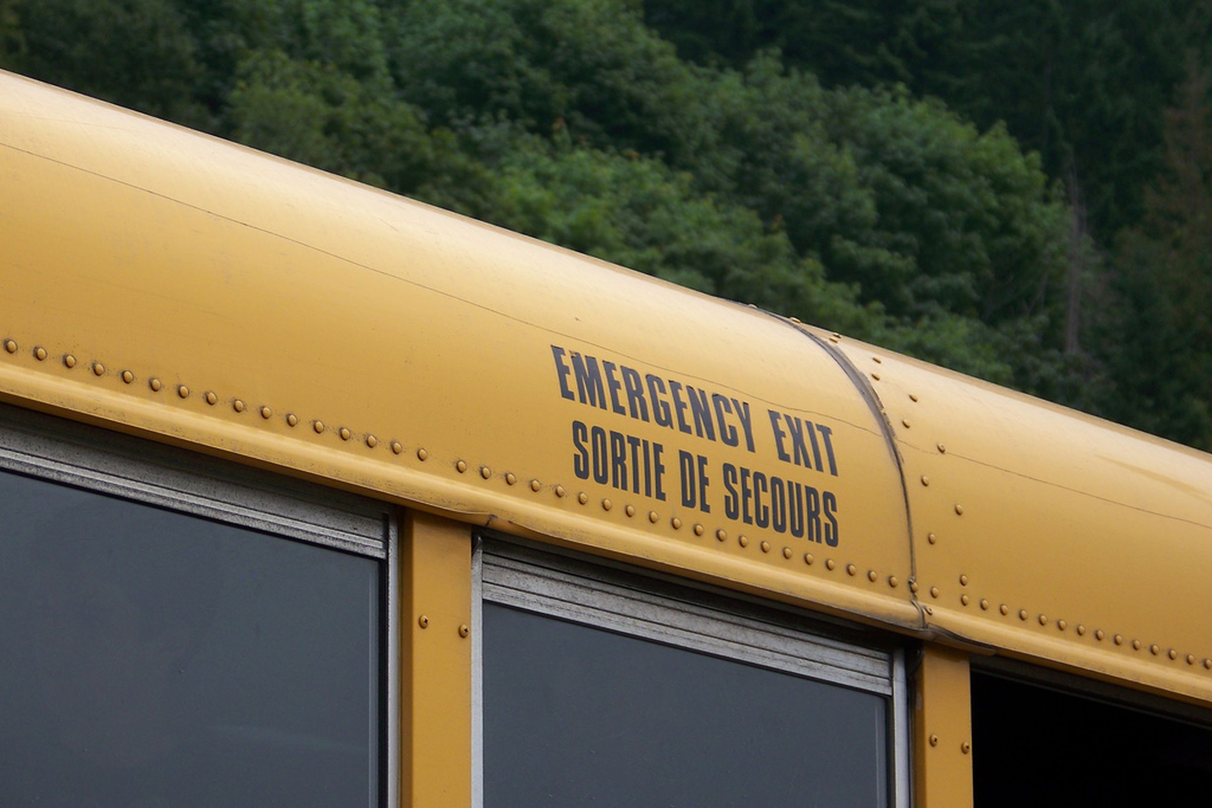 School bus emergency exit (Flickr)