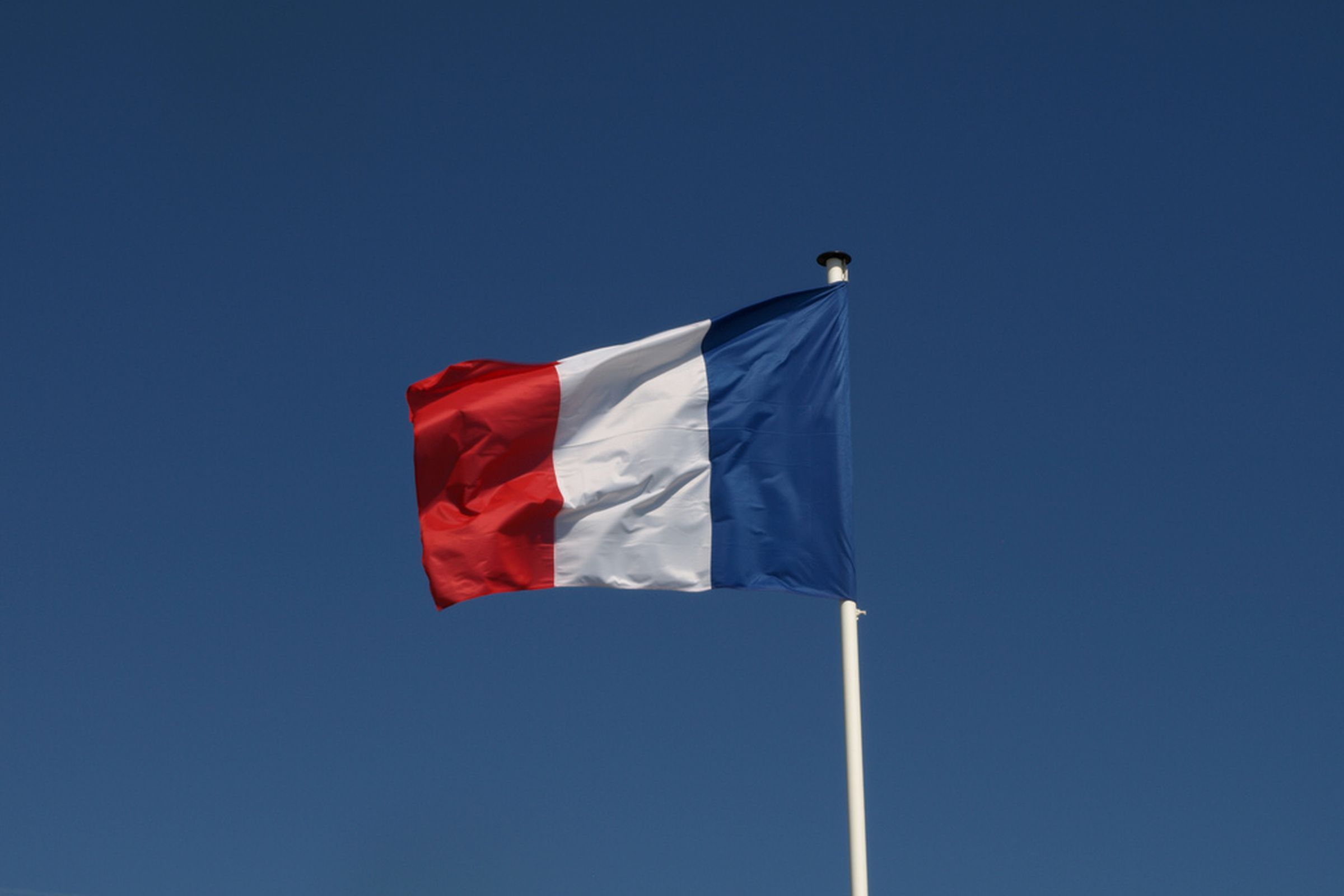 french flag (flickr)