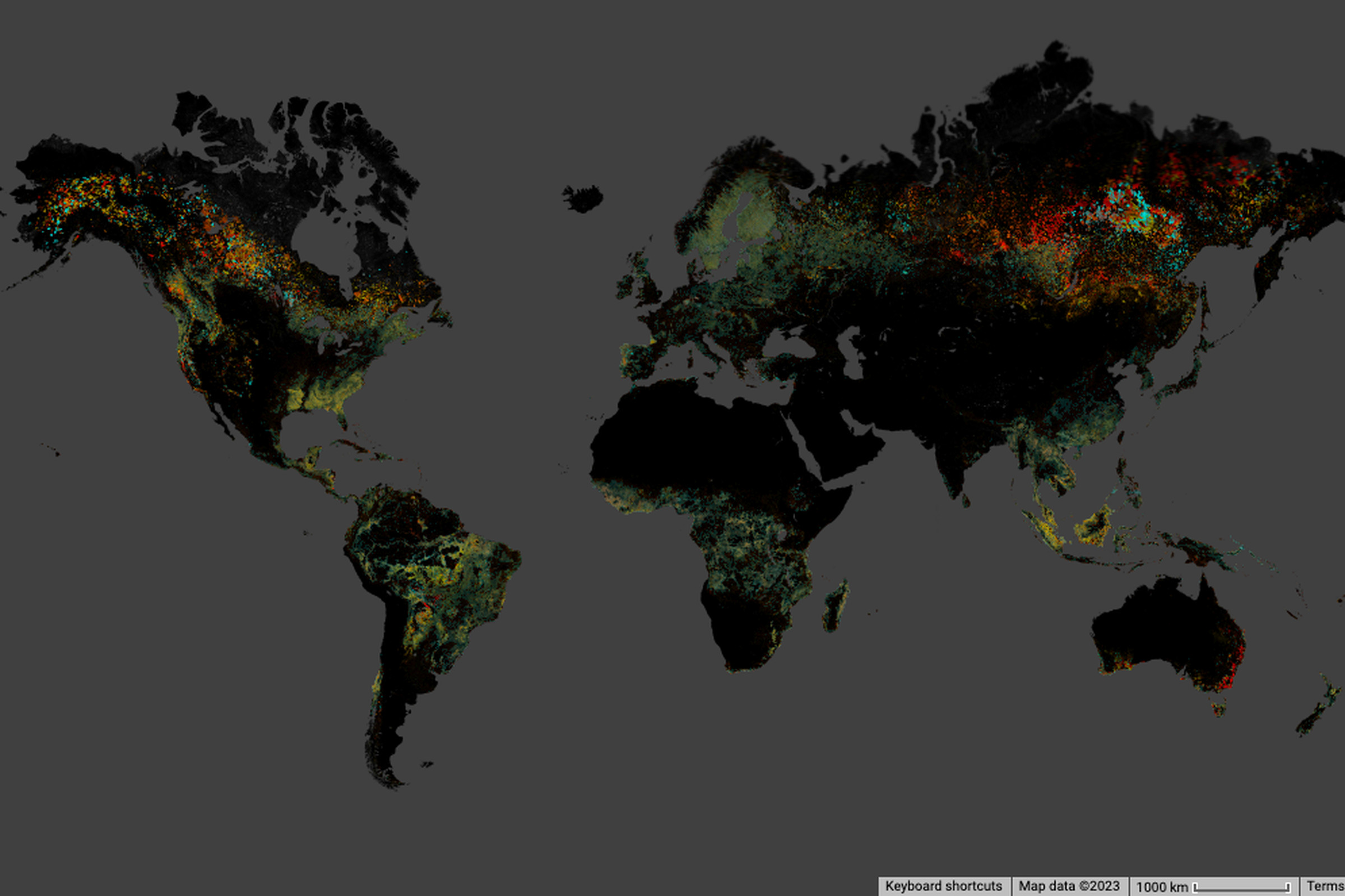 A map showing global forest change
