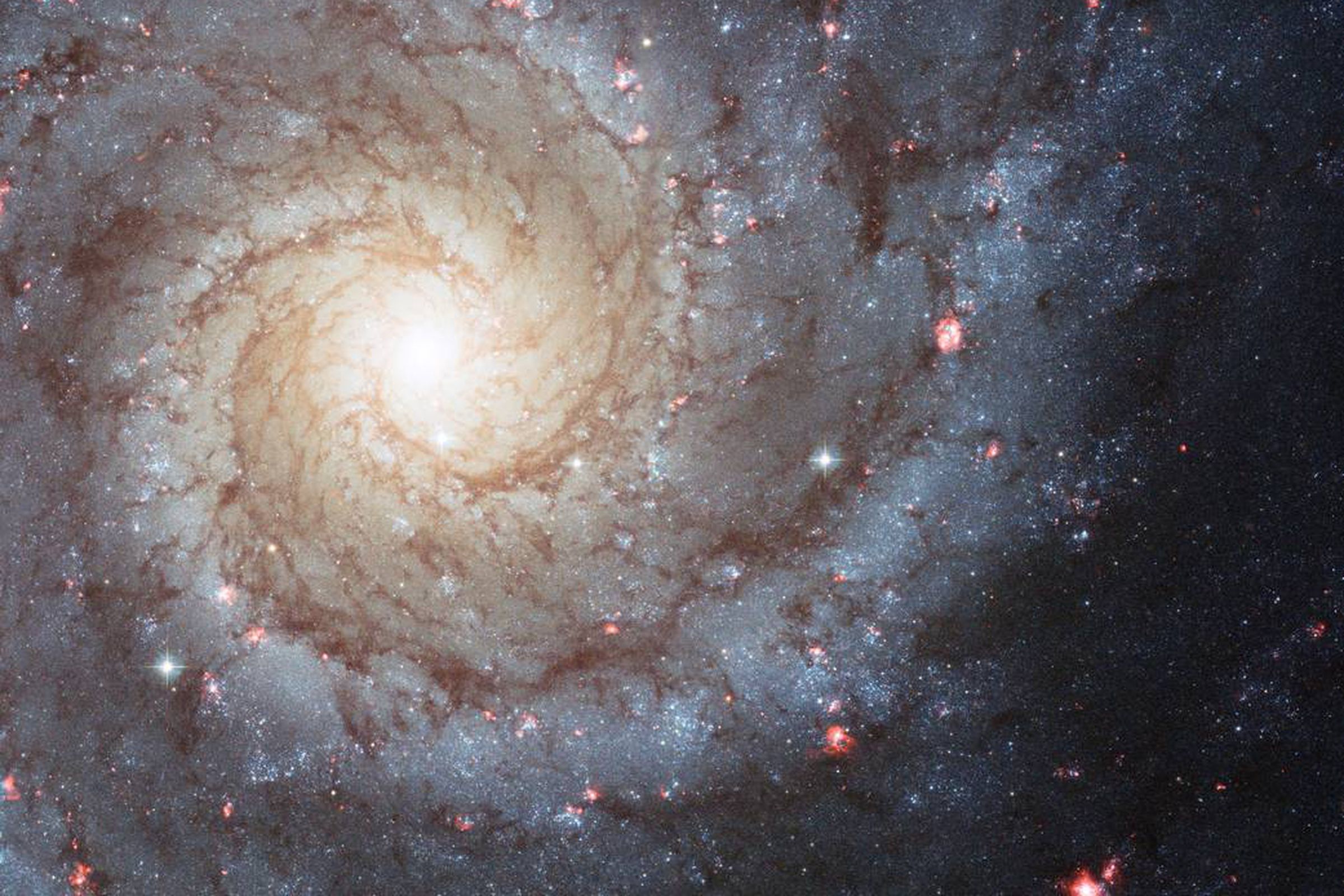 AI is helping to classify spiral galaxies like this one, and astronomers say there’s much more it can do.