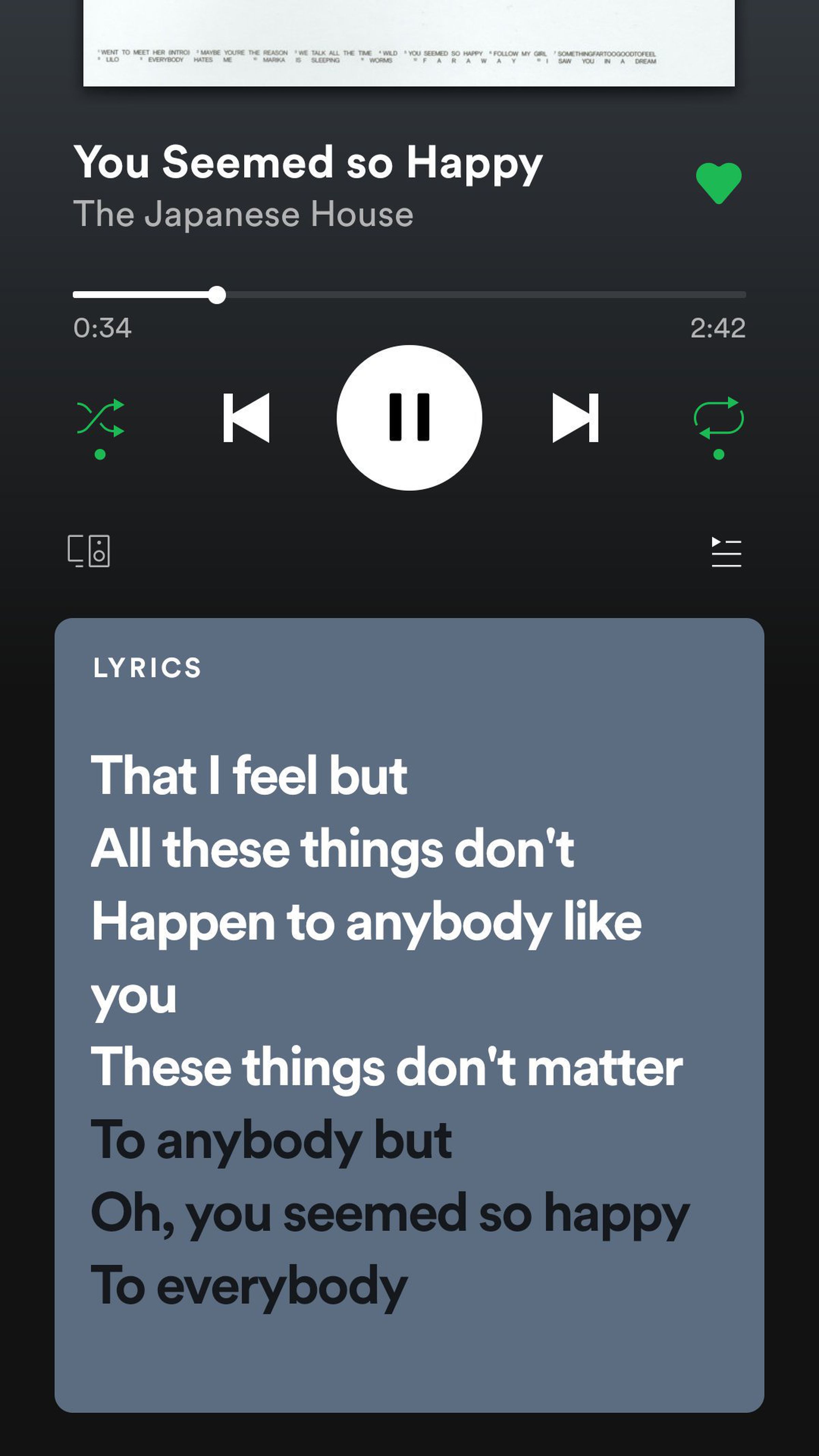 A screenshot taken last year when Spotify was testing its new lyrics feature.