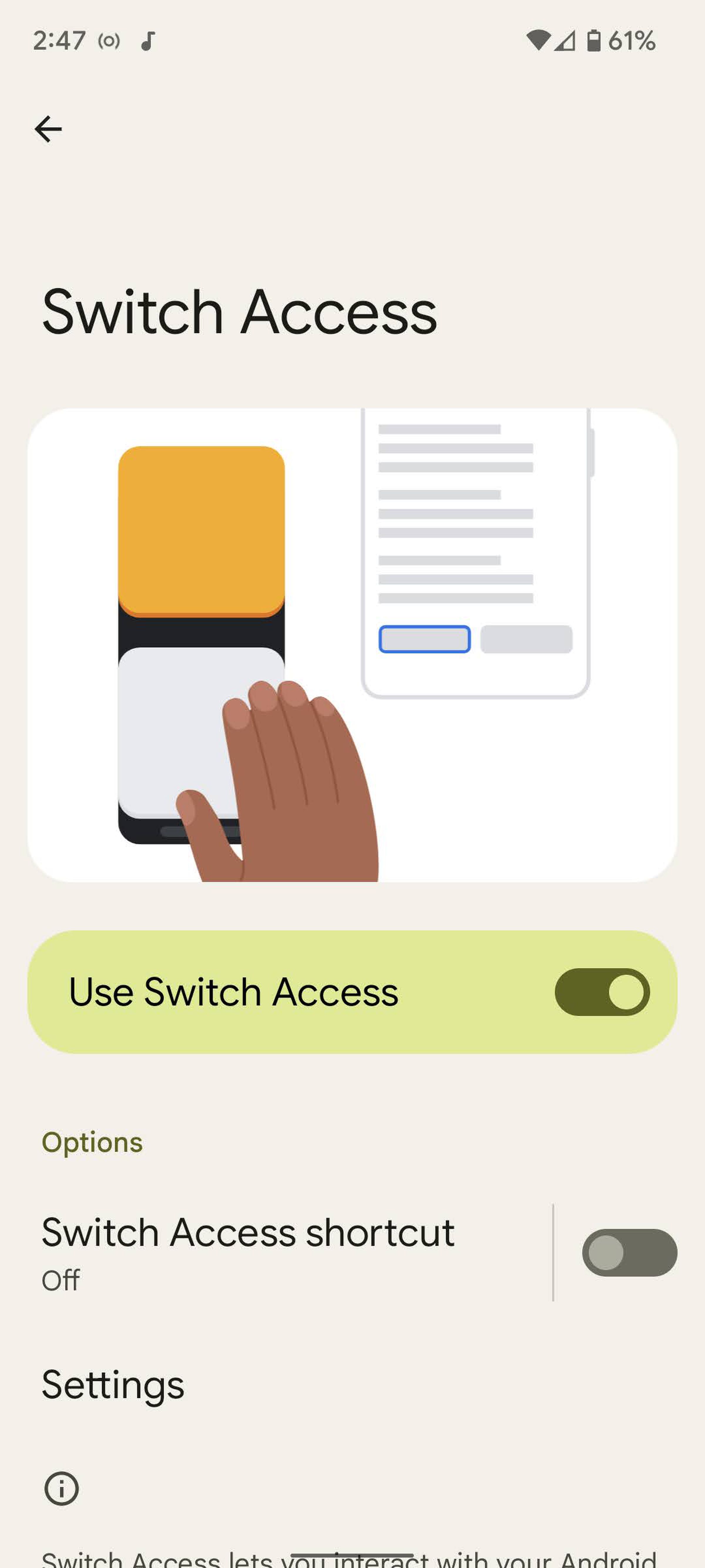 Toggle on “Use Switch Access.” 