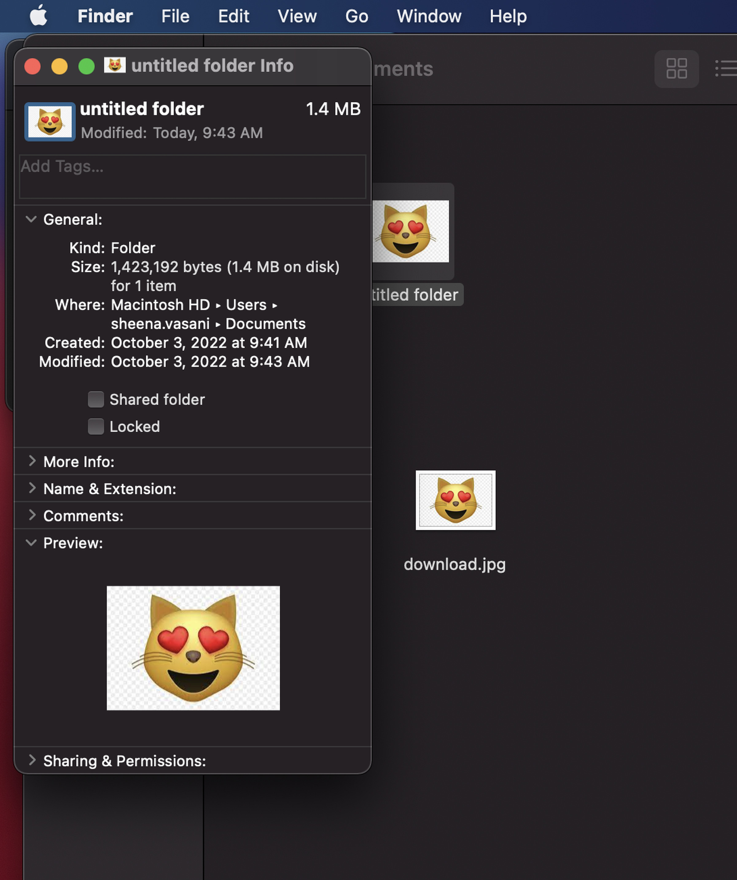 Screenshot of the blue folder now replaced with a cat emoji with hearts for eyes.