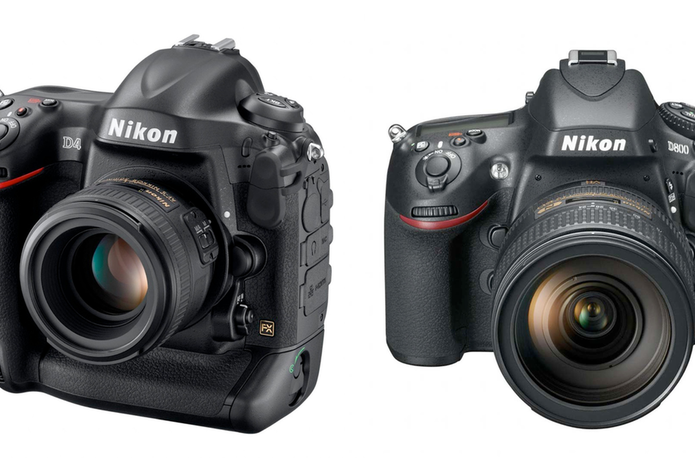 Nikon D800 and D4