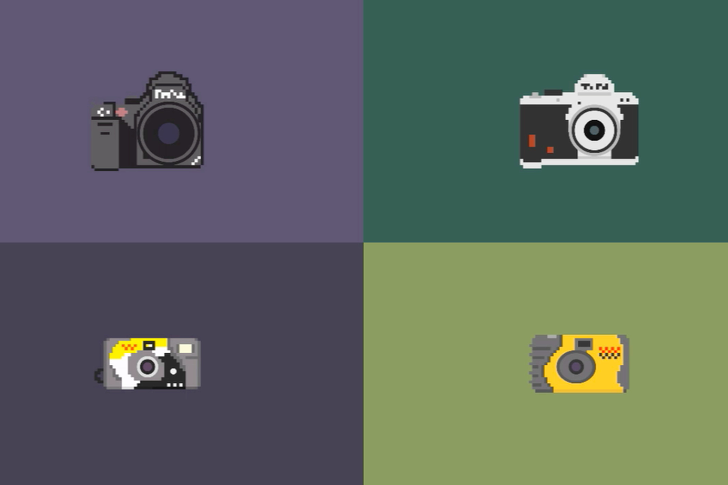 camera collection (bill brown)