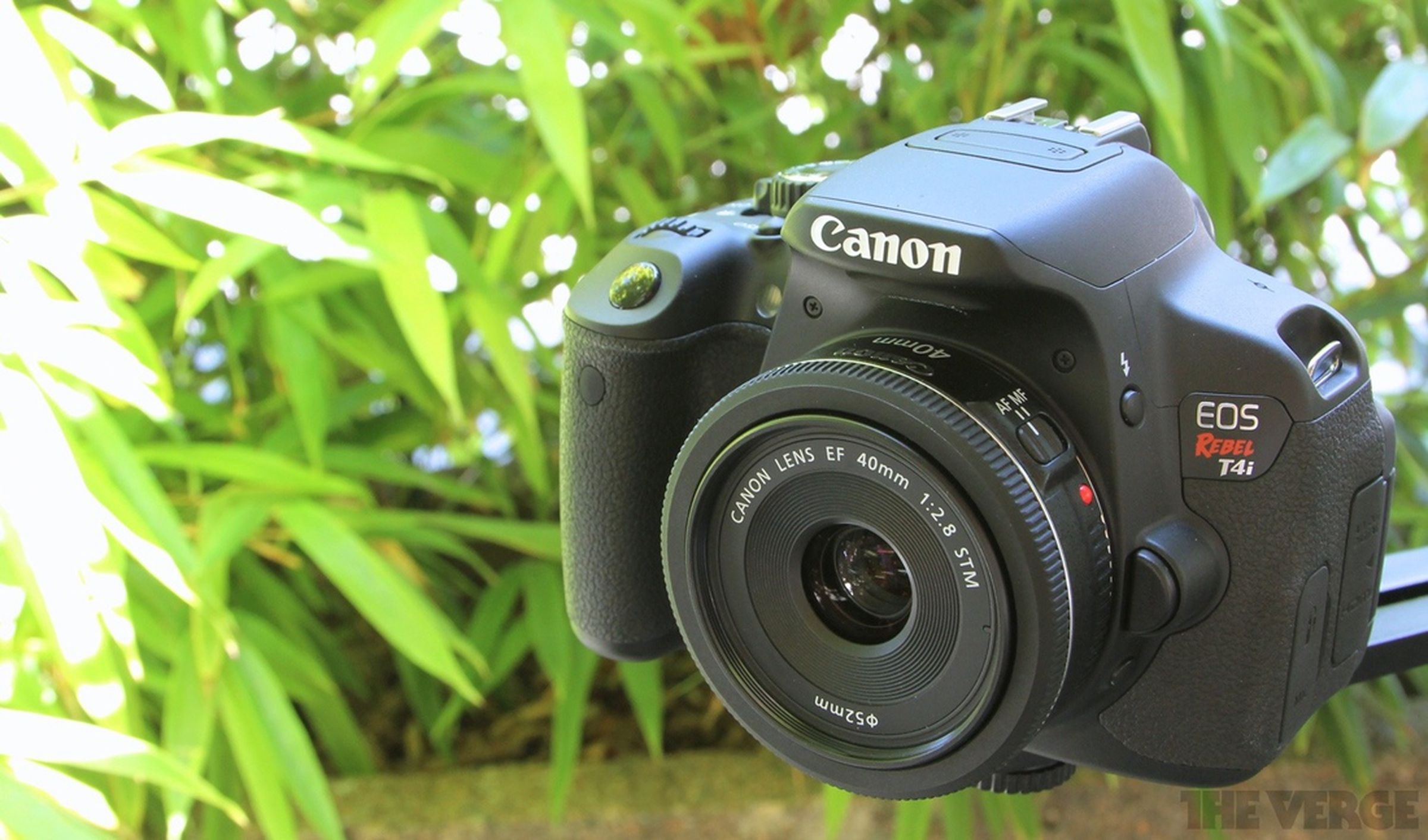Canon T4i pictures