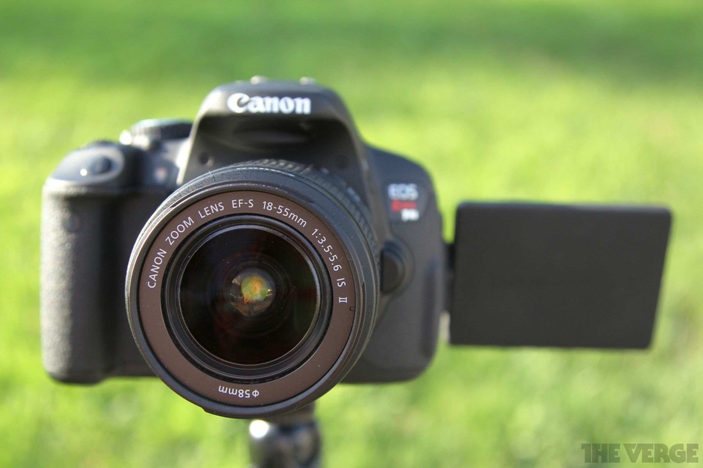Canon T4i pictures
