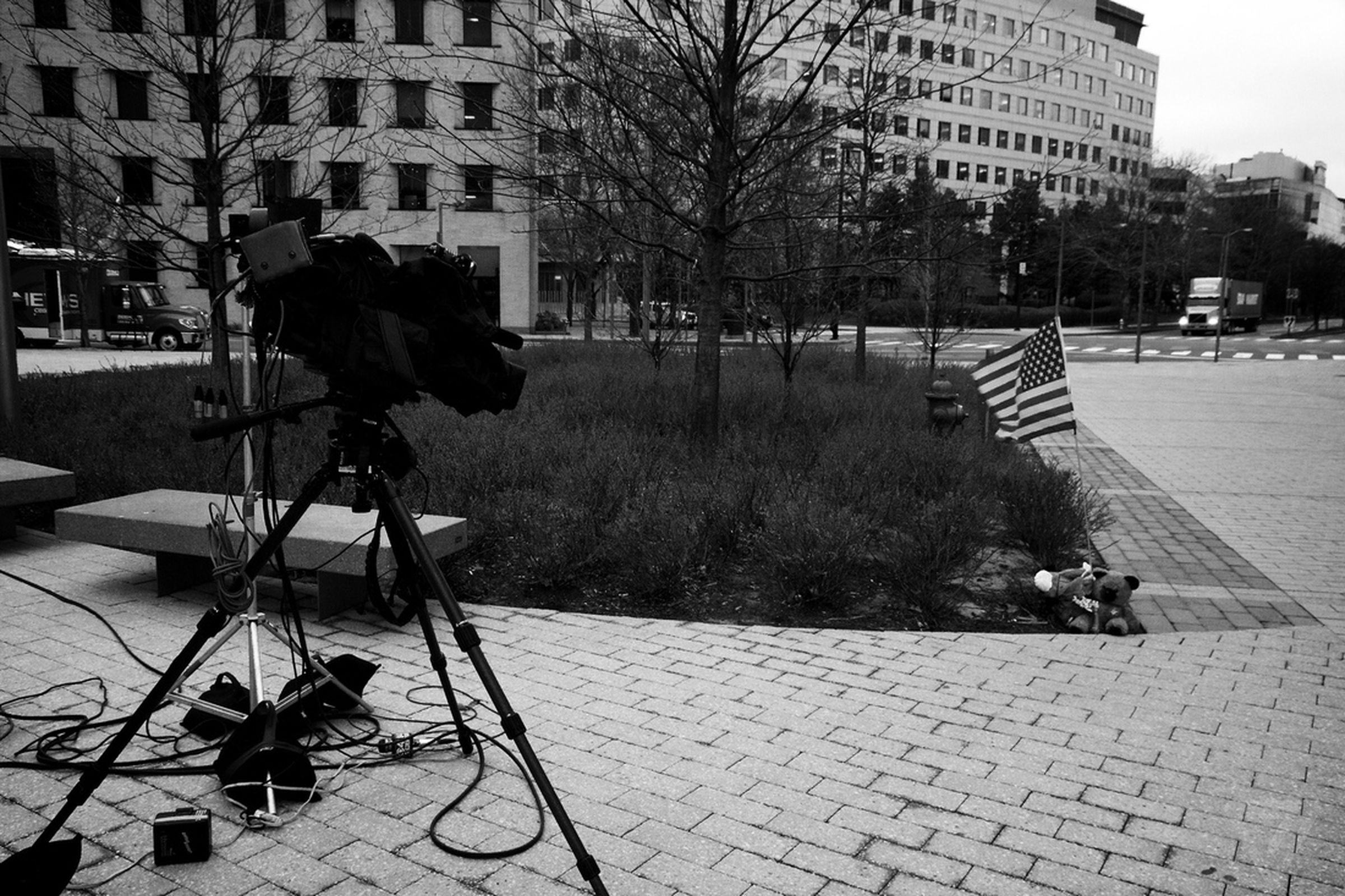 Boston under lockdown photographs