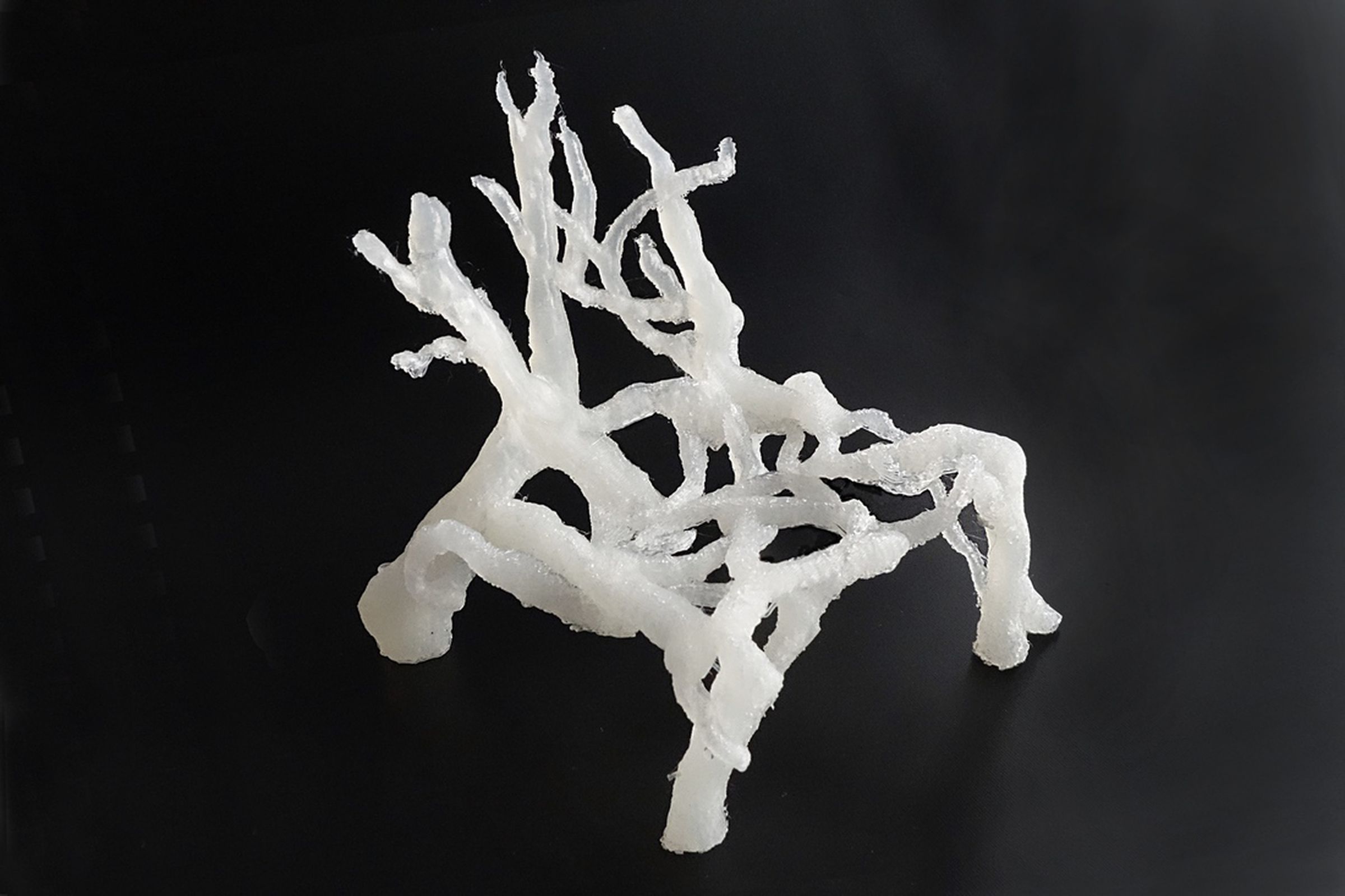 Gallery Photo: Mycelium Chair