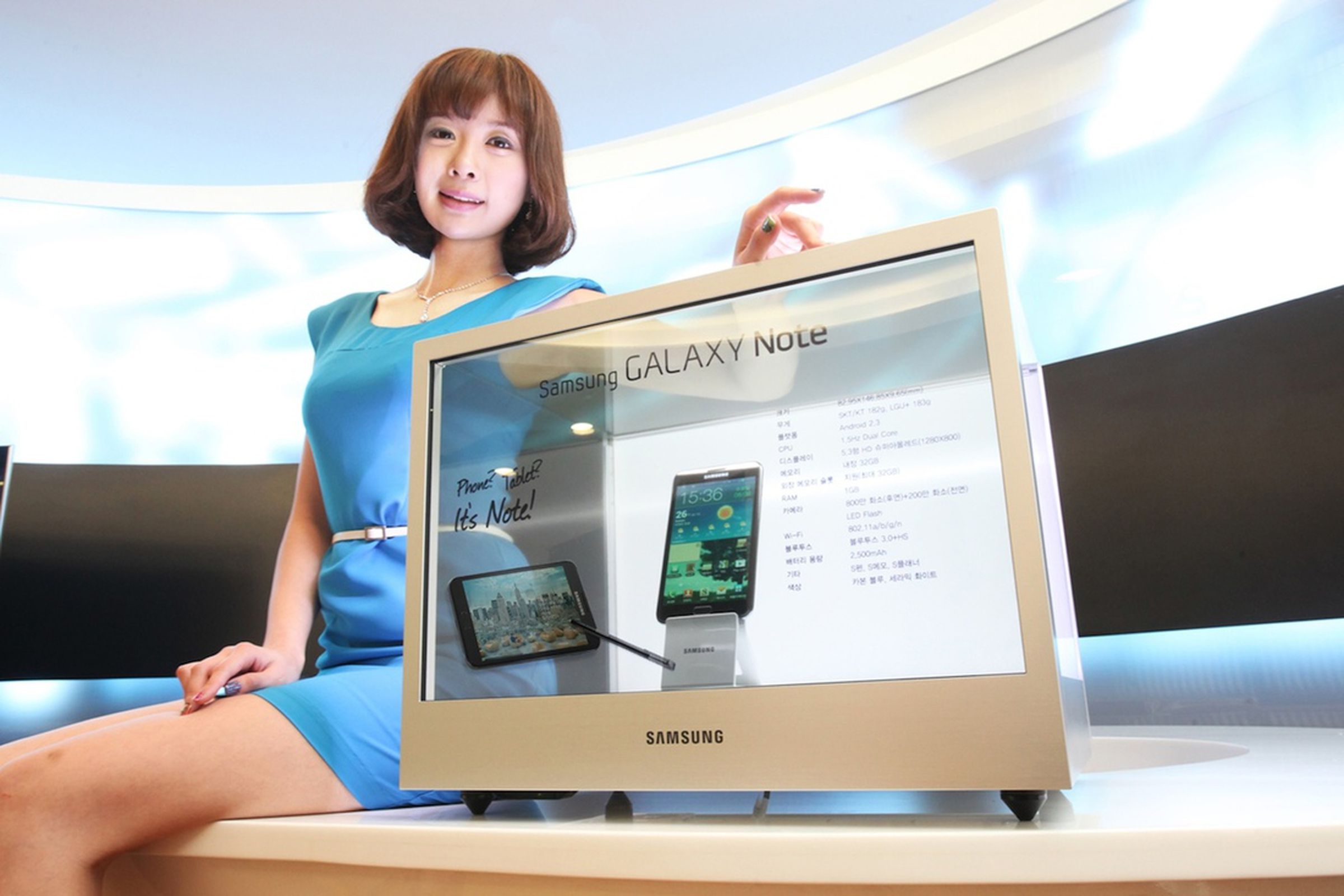 Samsung NL22B display case
