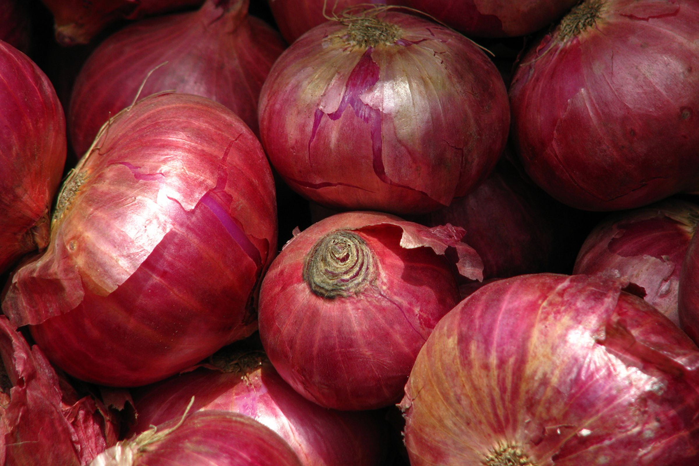 Onions from India's Koyambedu Market (Wikimedia Commons)