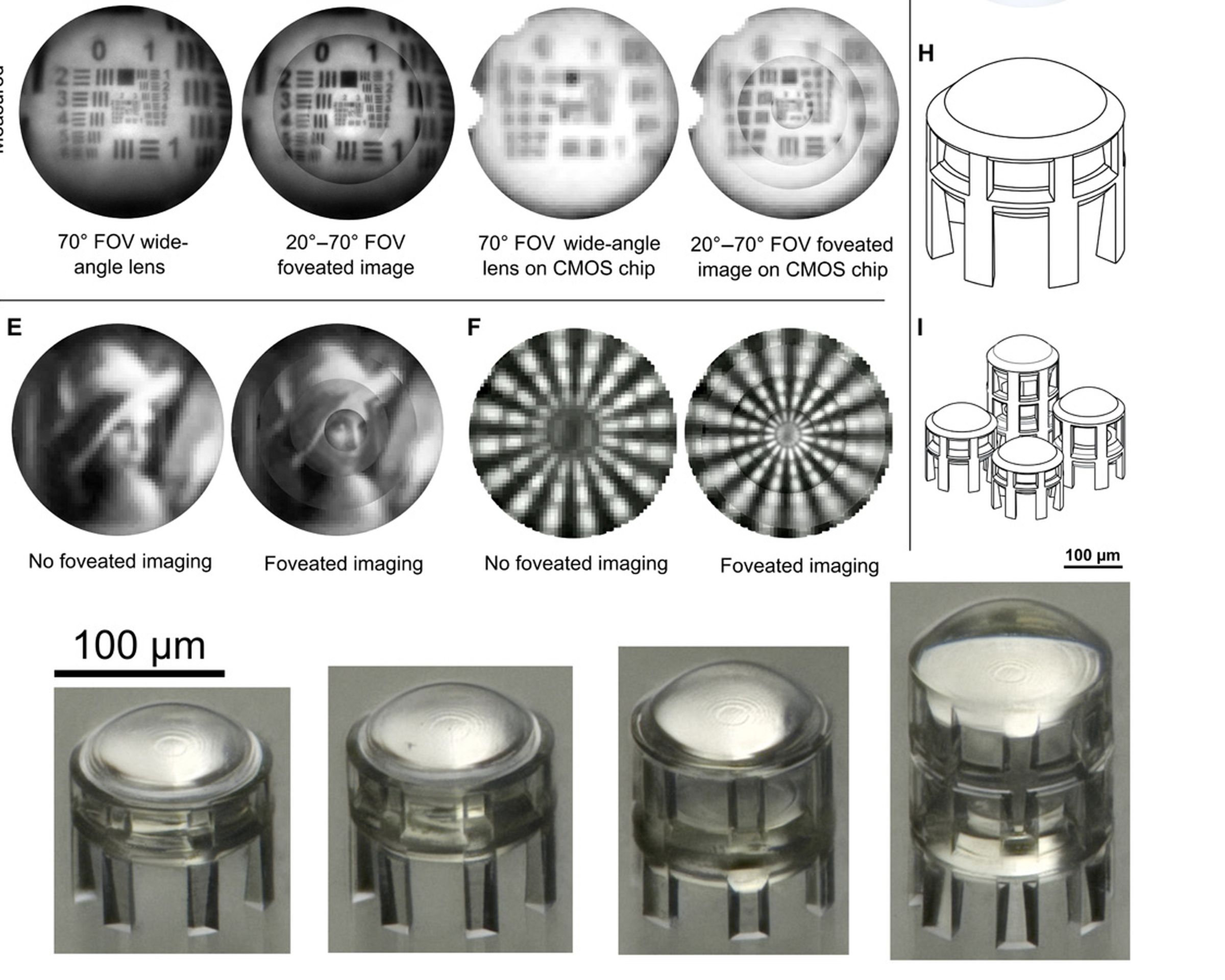 Pictures and illustrations showing how the foveated lenses differ in focus, and what the lenses themselves look like.