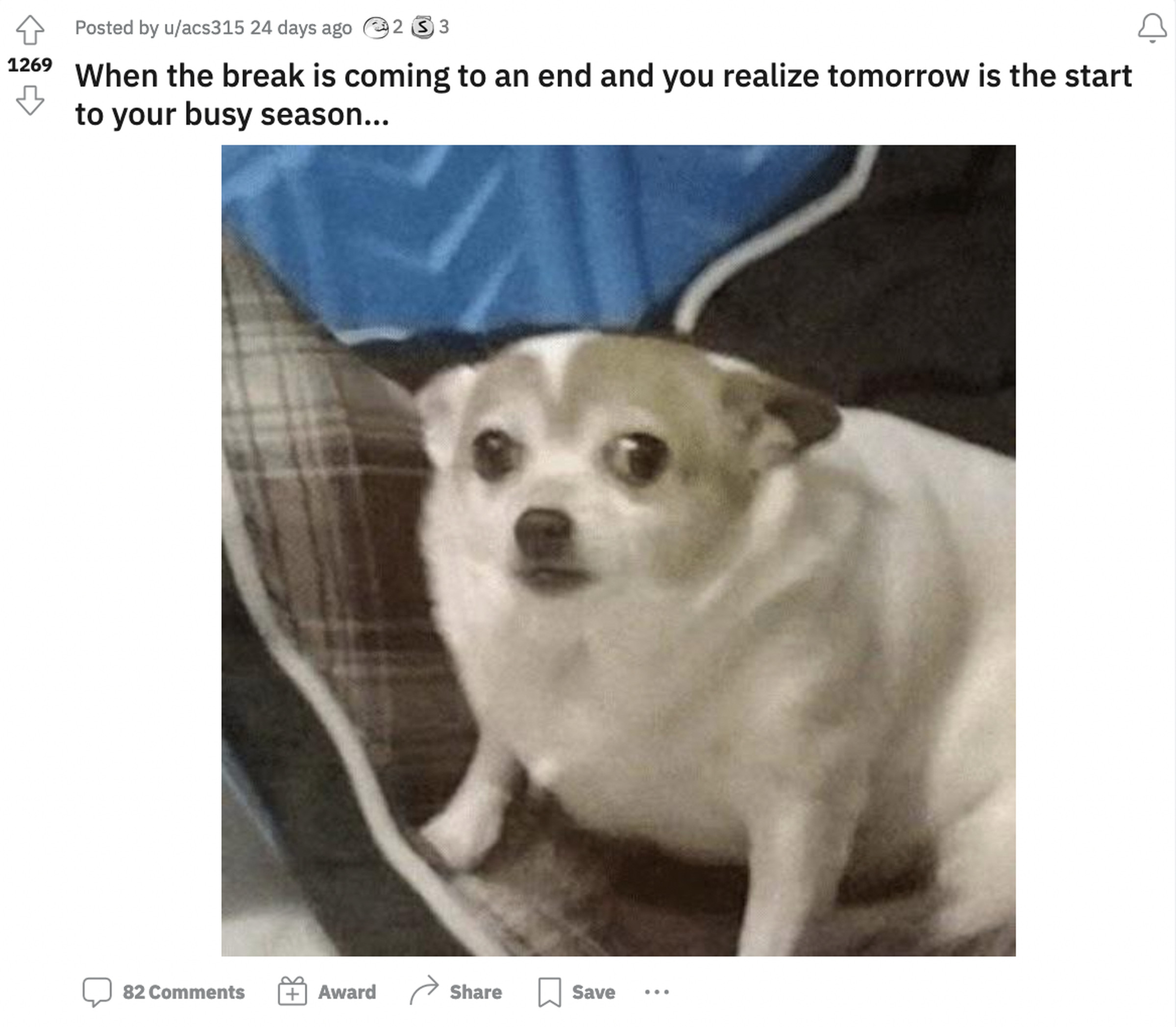 A picture of a frightened-looking dog captioned “When the break is coming to an end and you realize tomorrow is the start to your busy season… “
