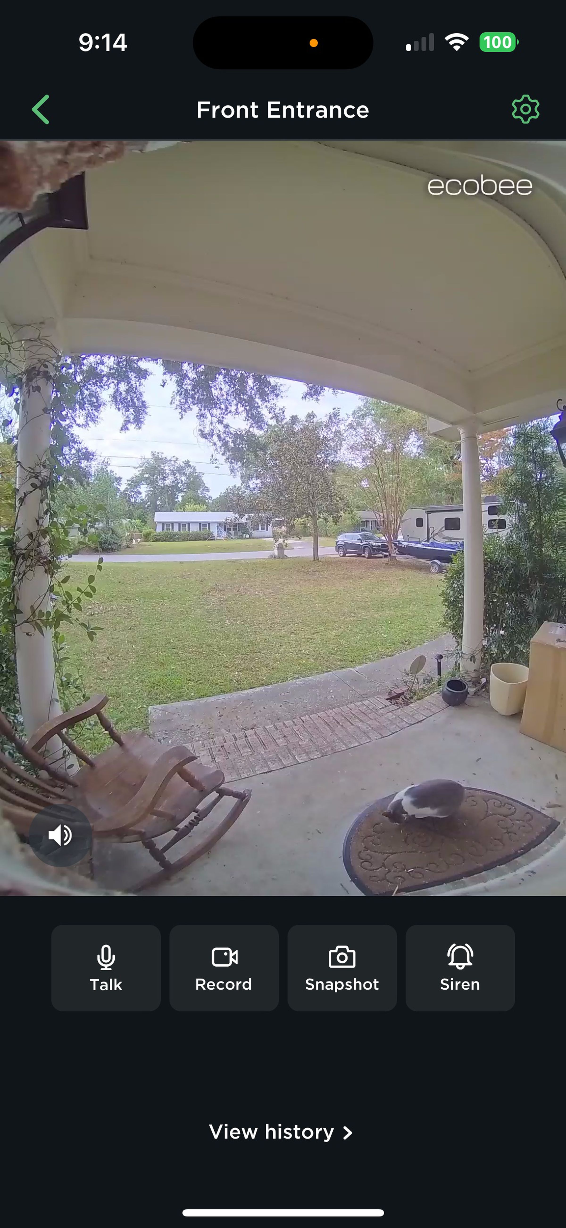 <em>My cat Smokey didn’t trigger the motion detection so was left out in the cold a bit longer than he would have liked.</em>
