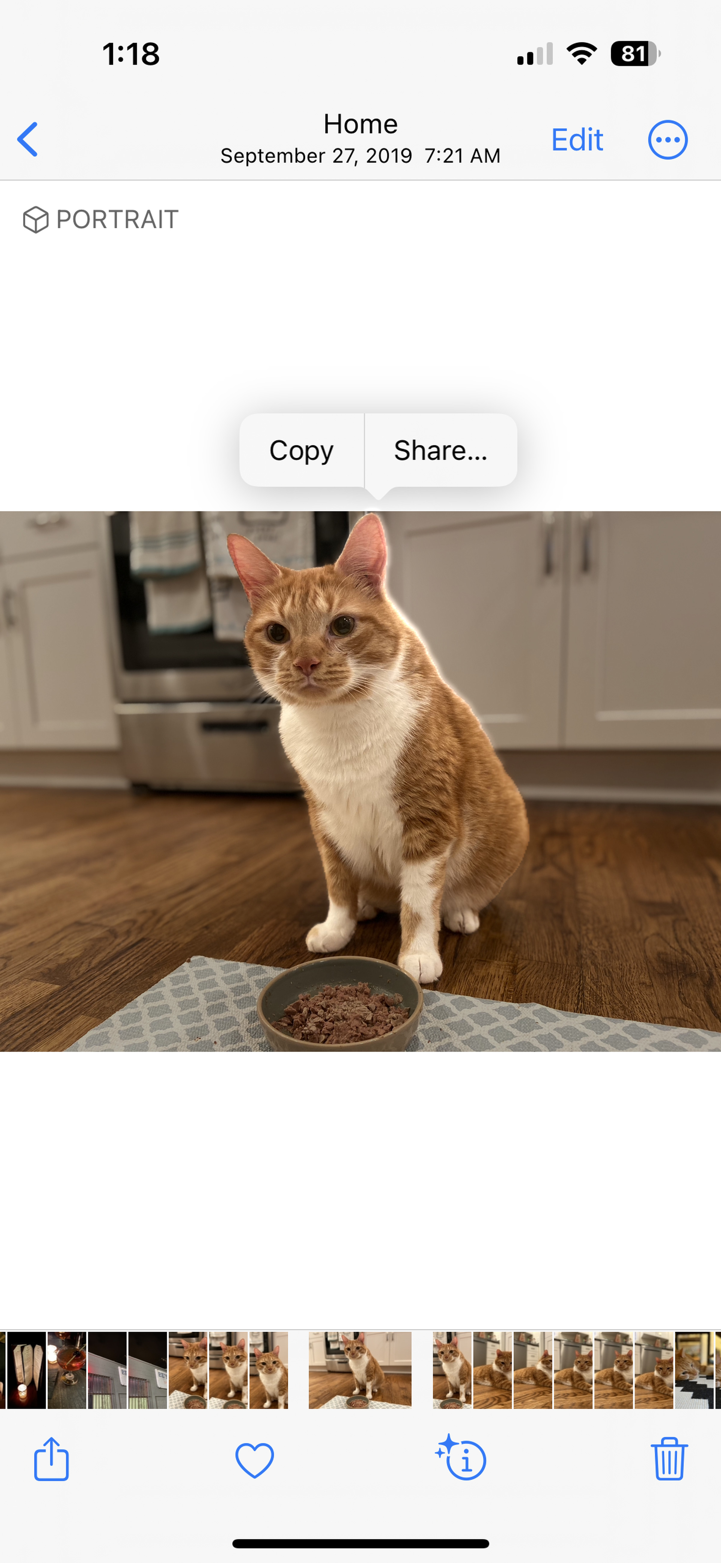 A photo of a cat with the subject highlighted and cut out from the background.