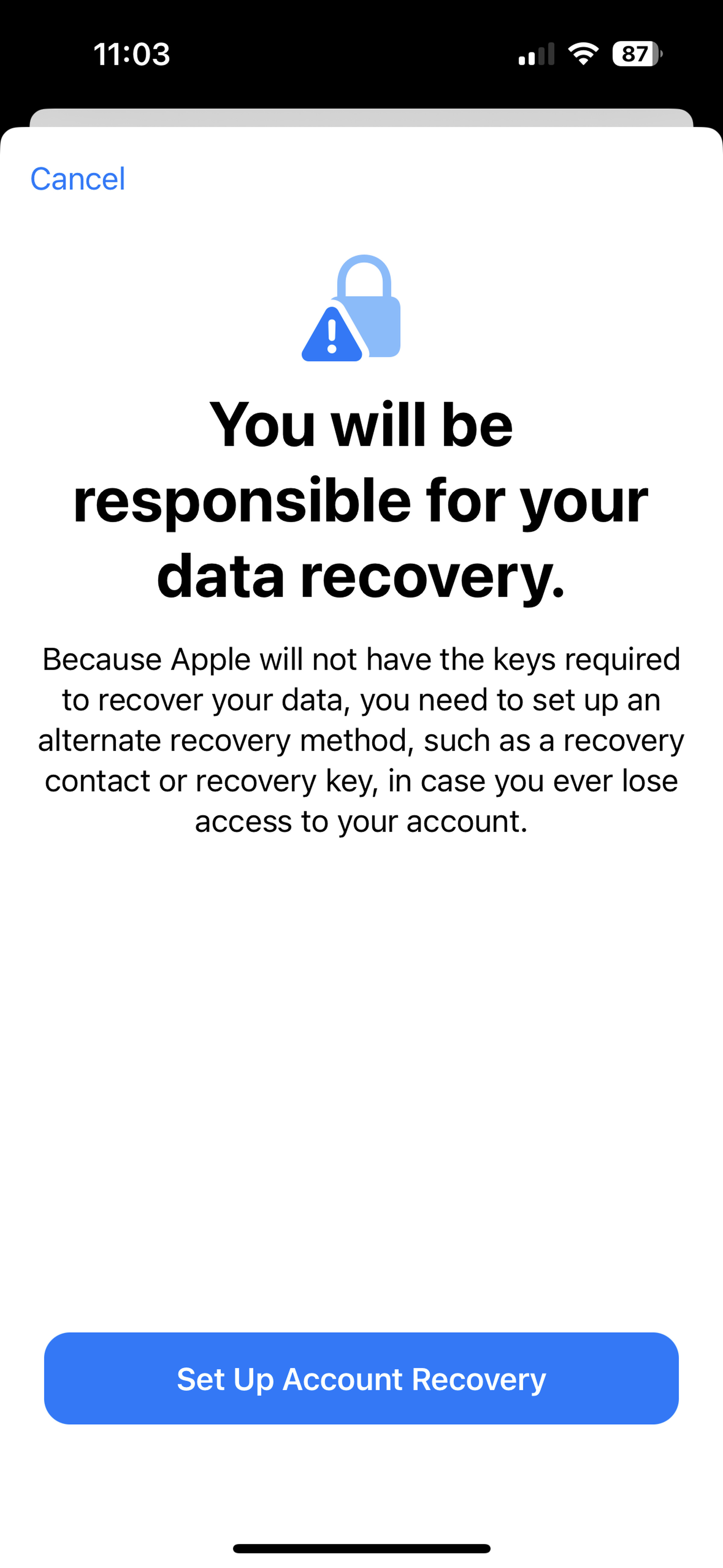 Screenshot with text indicating that the user needs to set up account recovery because Apple will no longer have access.