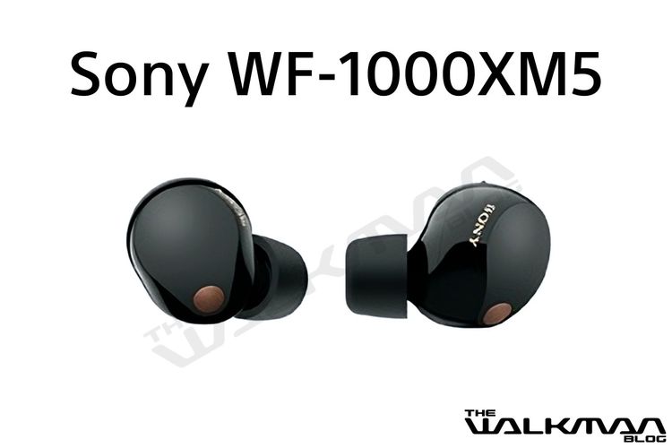 Sony WF-1000XM5 Review: Smaller, Lighter, but Not Better