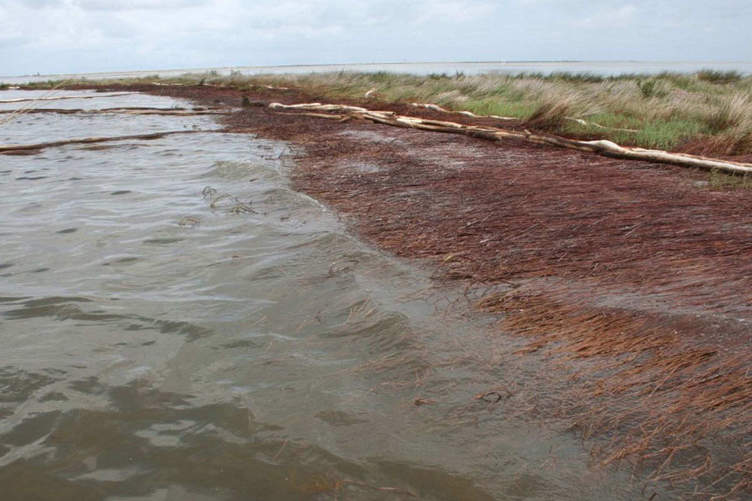 Oil on the shores of Bay Jimmy, Plaquemines Parish, Louisiana, in 2010.