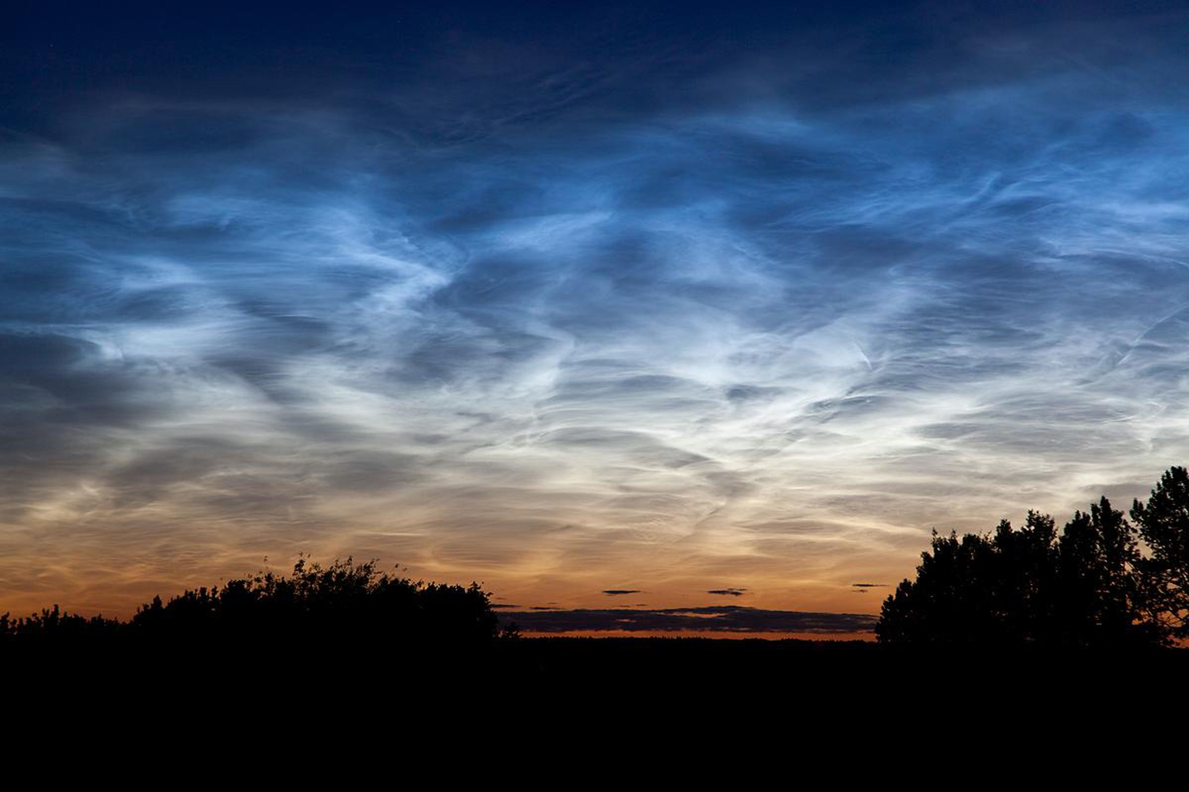 Noctilucent clouds spotted just before midnight in 2011 near Edmonton, Canada. 