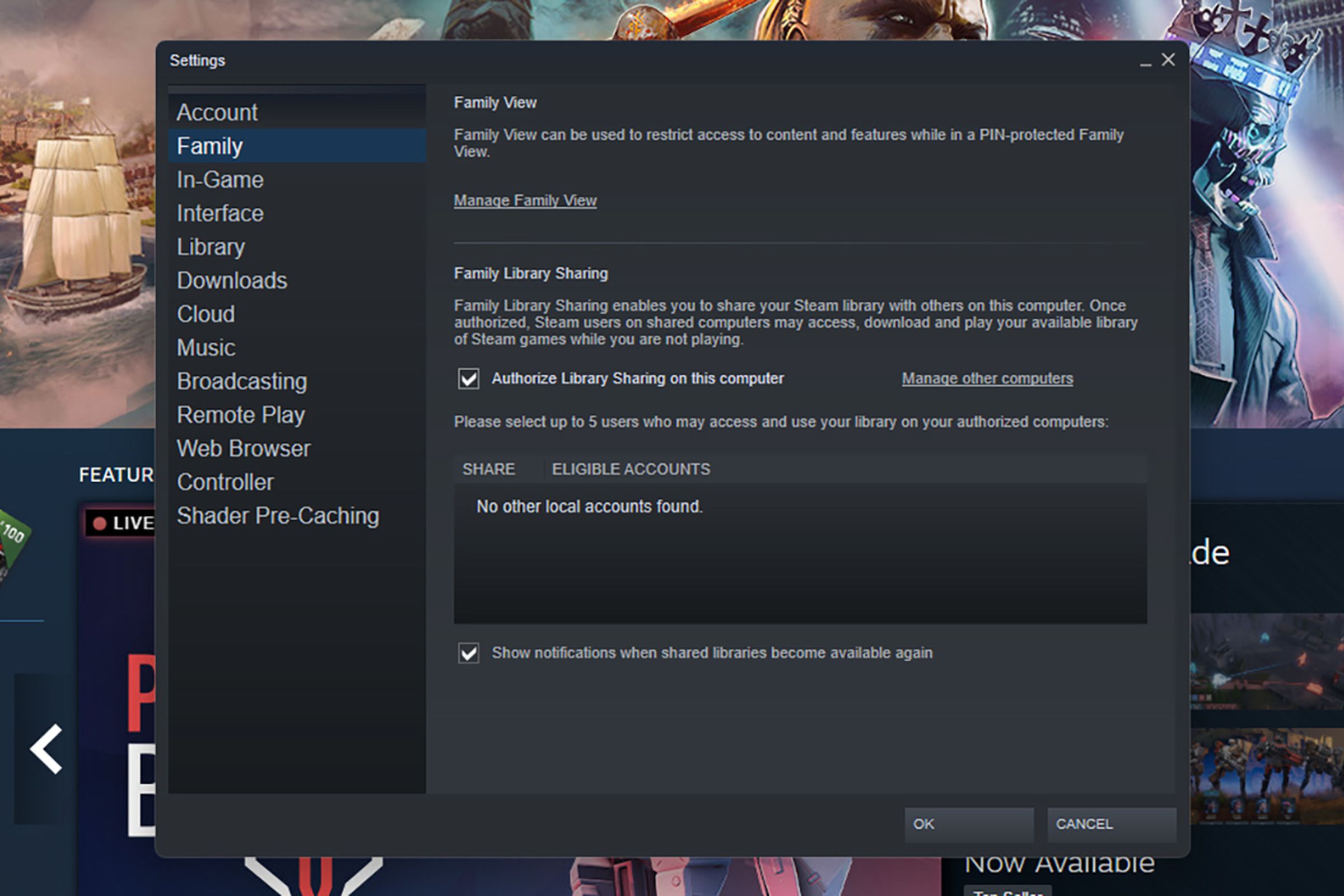 Steam Settings windows showing menu in left column, the words “Family View” on top, and various features of the Family view in the central page.