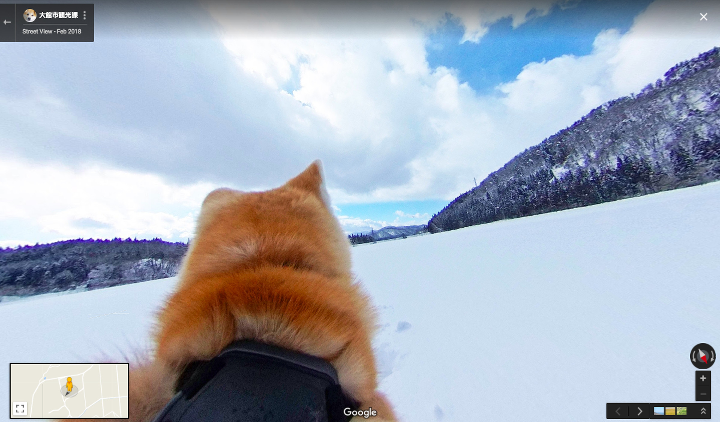 Akita dog tour in Google Maps
