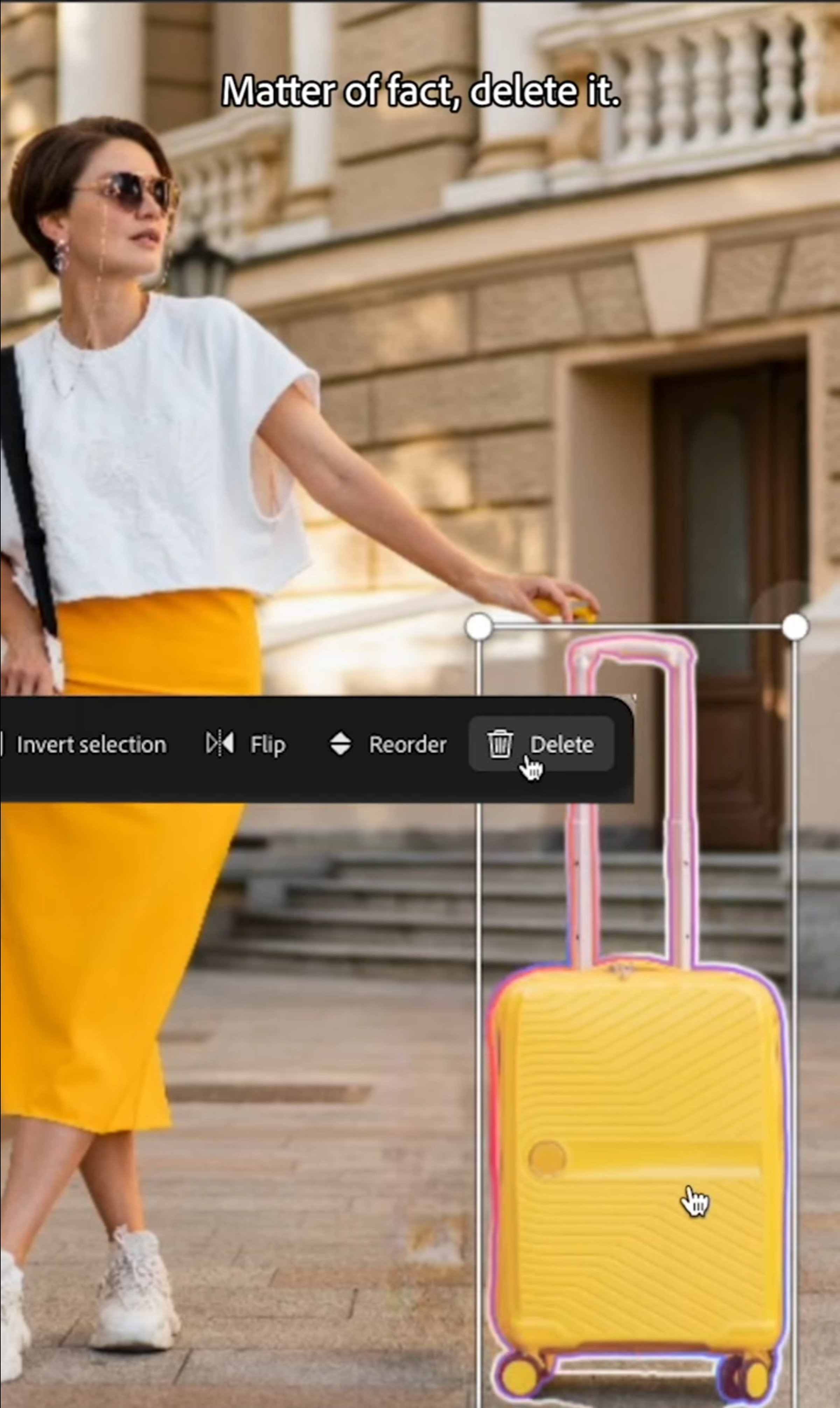 A screenshot of Adobe’s Project Stardust tool for photo editing, removing a suitcase from an image.