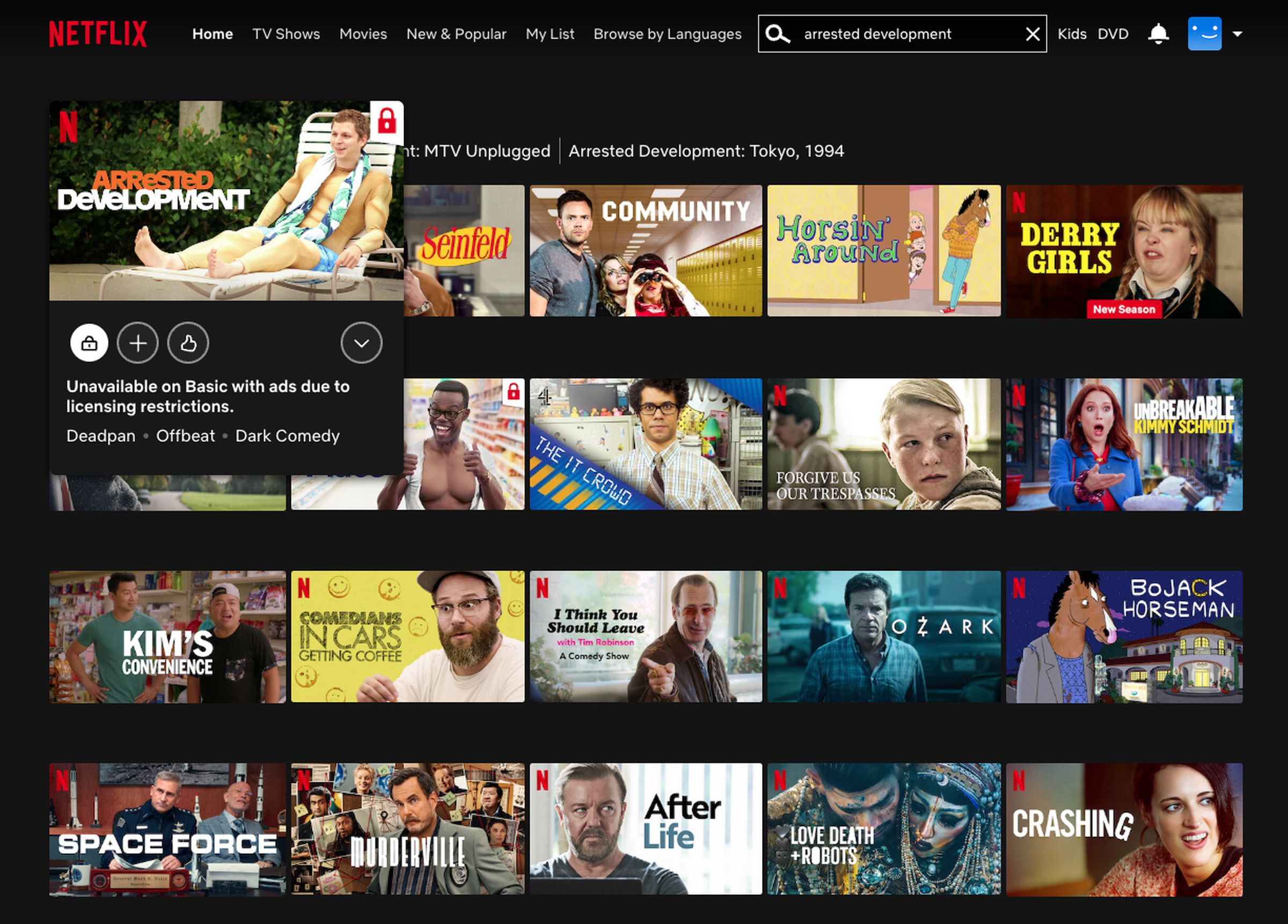 Screenshot of the Netflix interface.