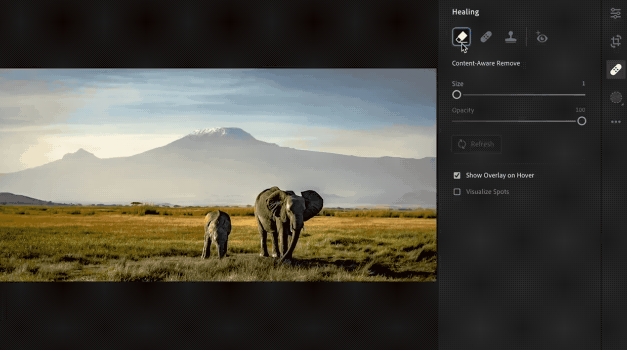 A GIF demonstration of Lightroom’s new content-aware heal tool.