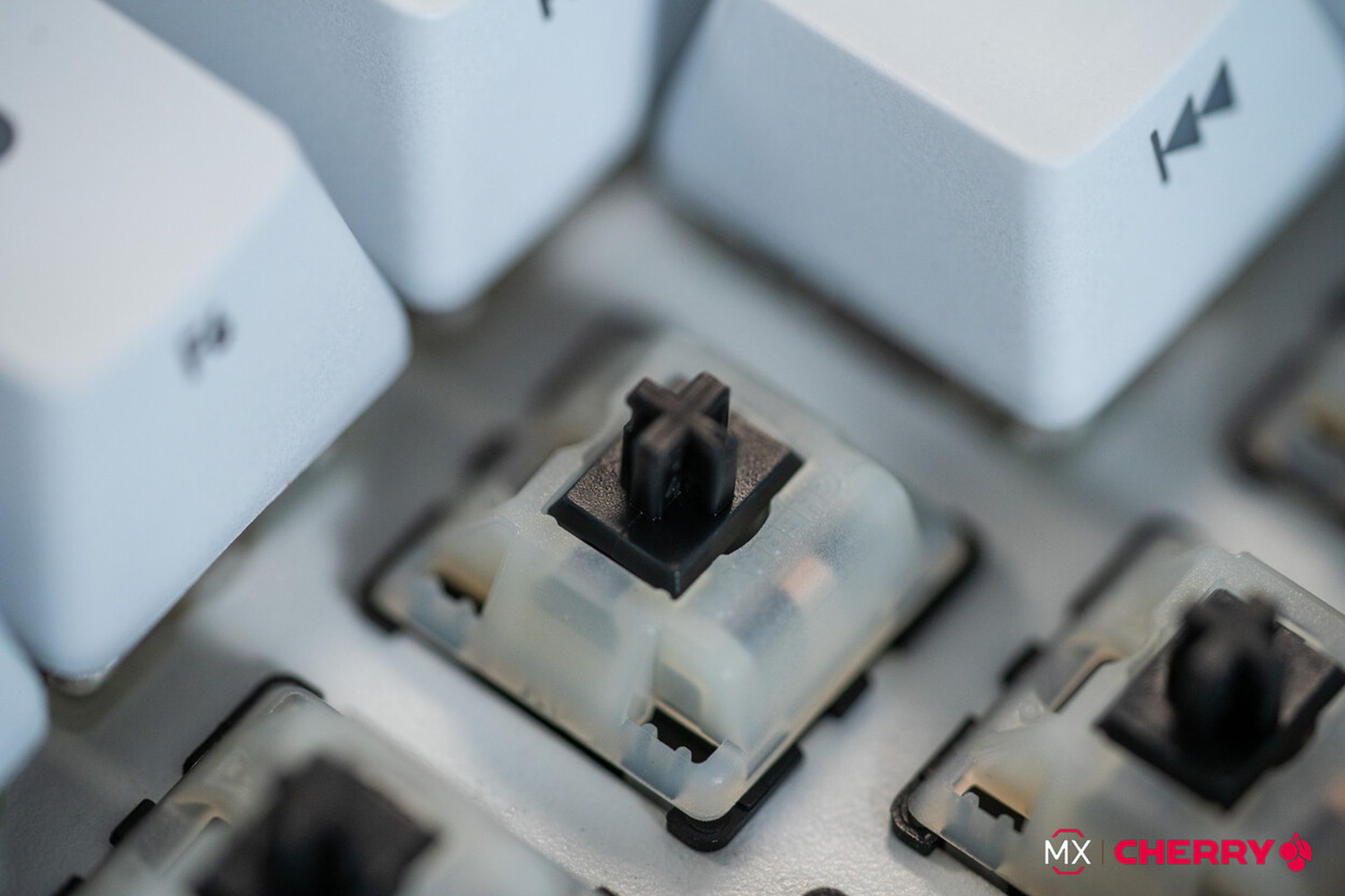 Bir klavyede MX Black Clear-Top'un yakından görünümü.
