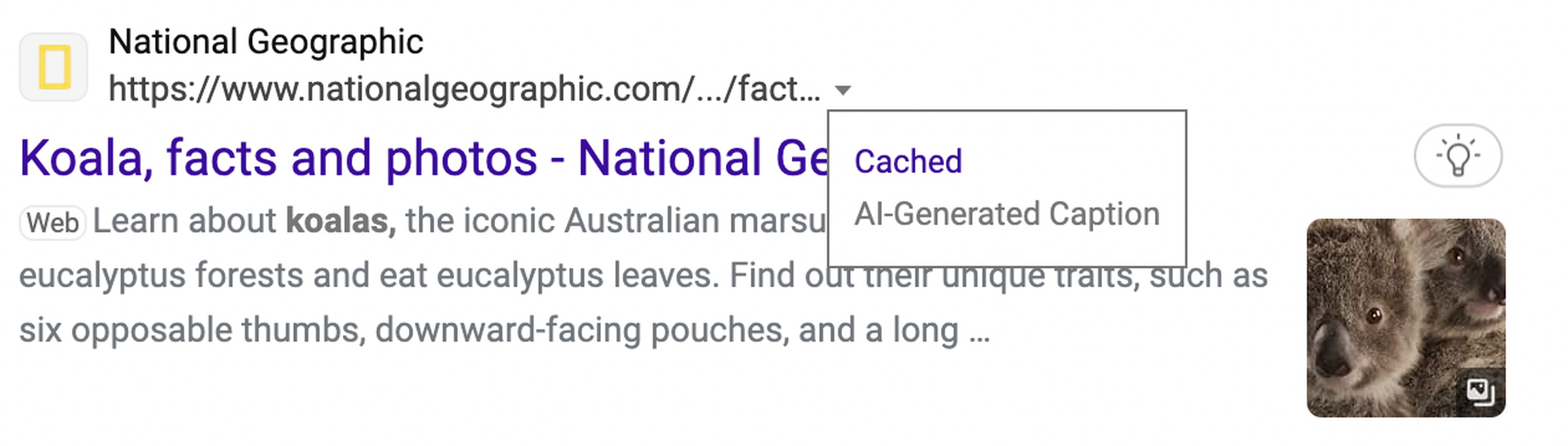 A screenshot of an AI-generated search description on Bing