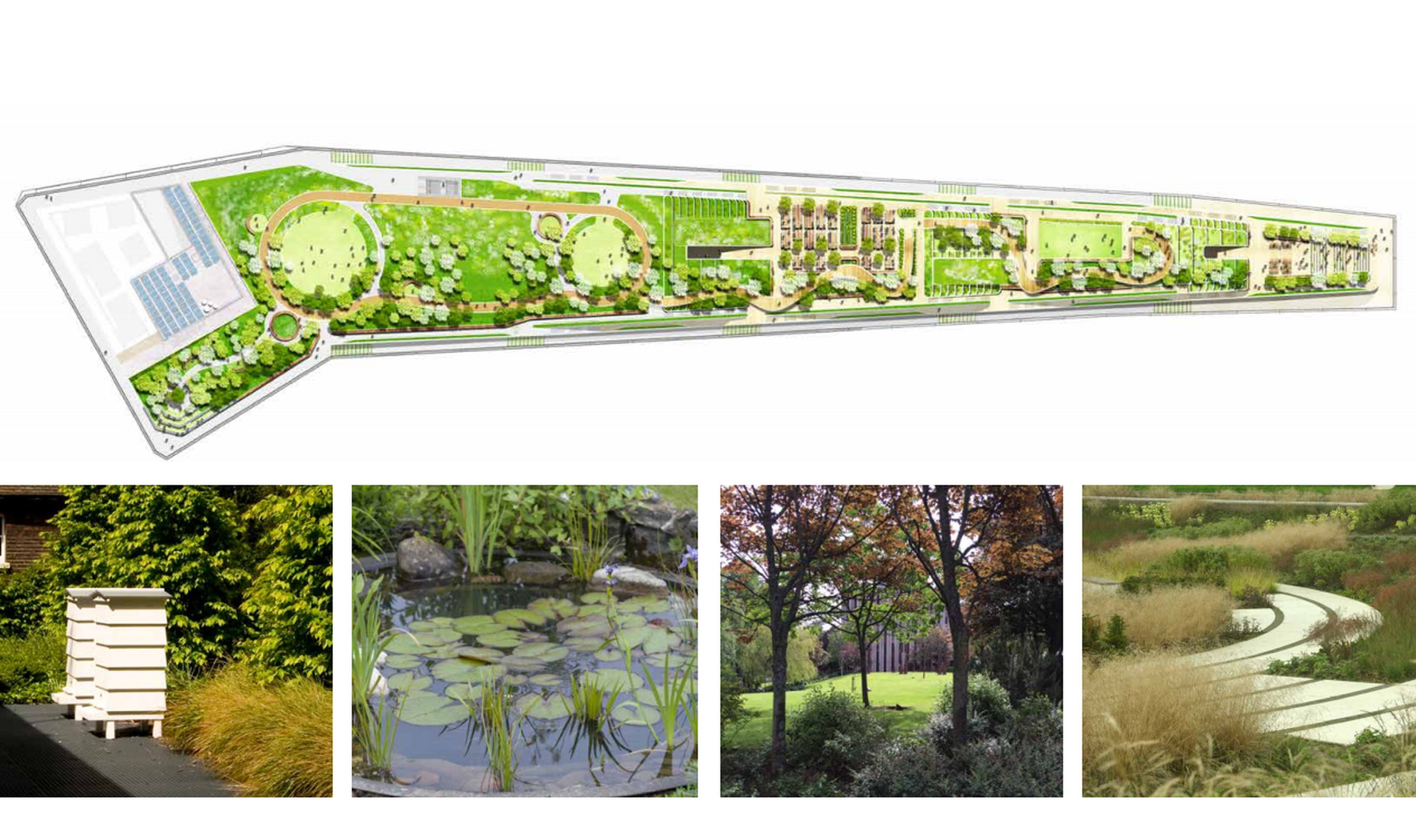 A plan for the garden shows it’s split into a number of different zones, and includes a 200-meter running trail.