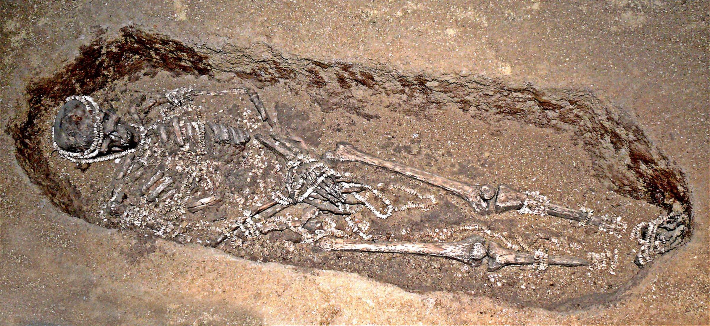 Upper paleolithic Sunghir burial decorated with ivory beads. 
