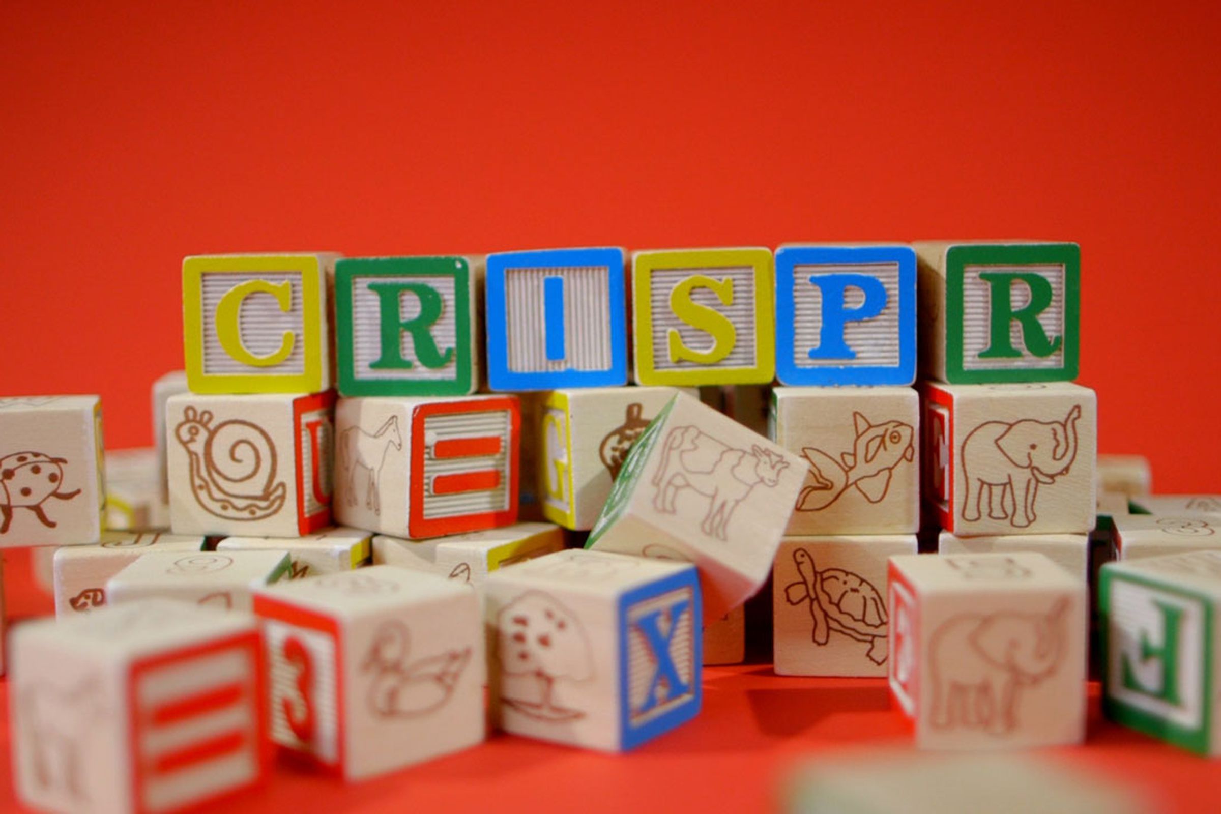 CRISPR lets scientists manipulate the building blocks of life.