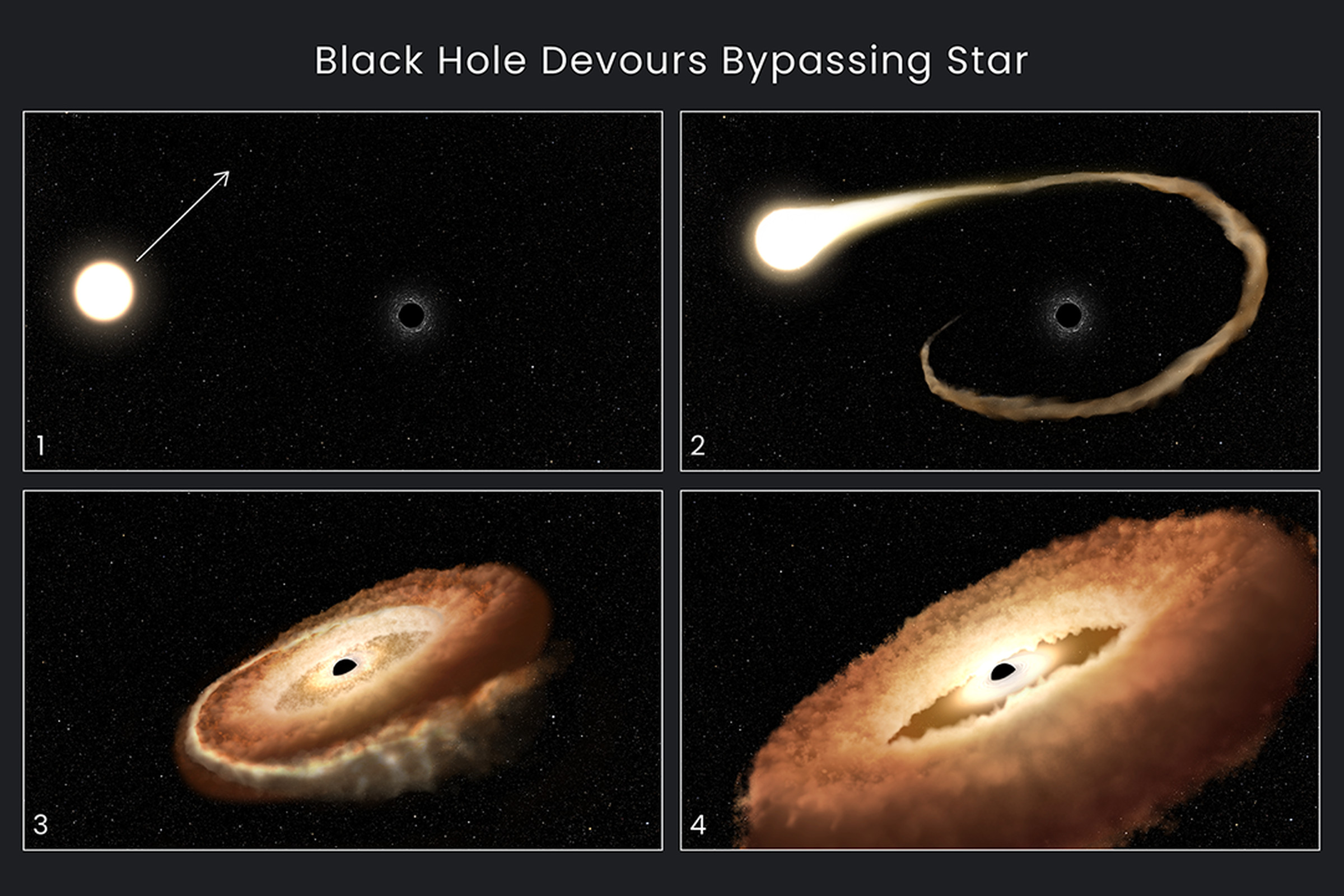 Black hole devours star