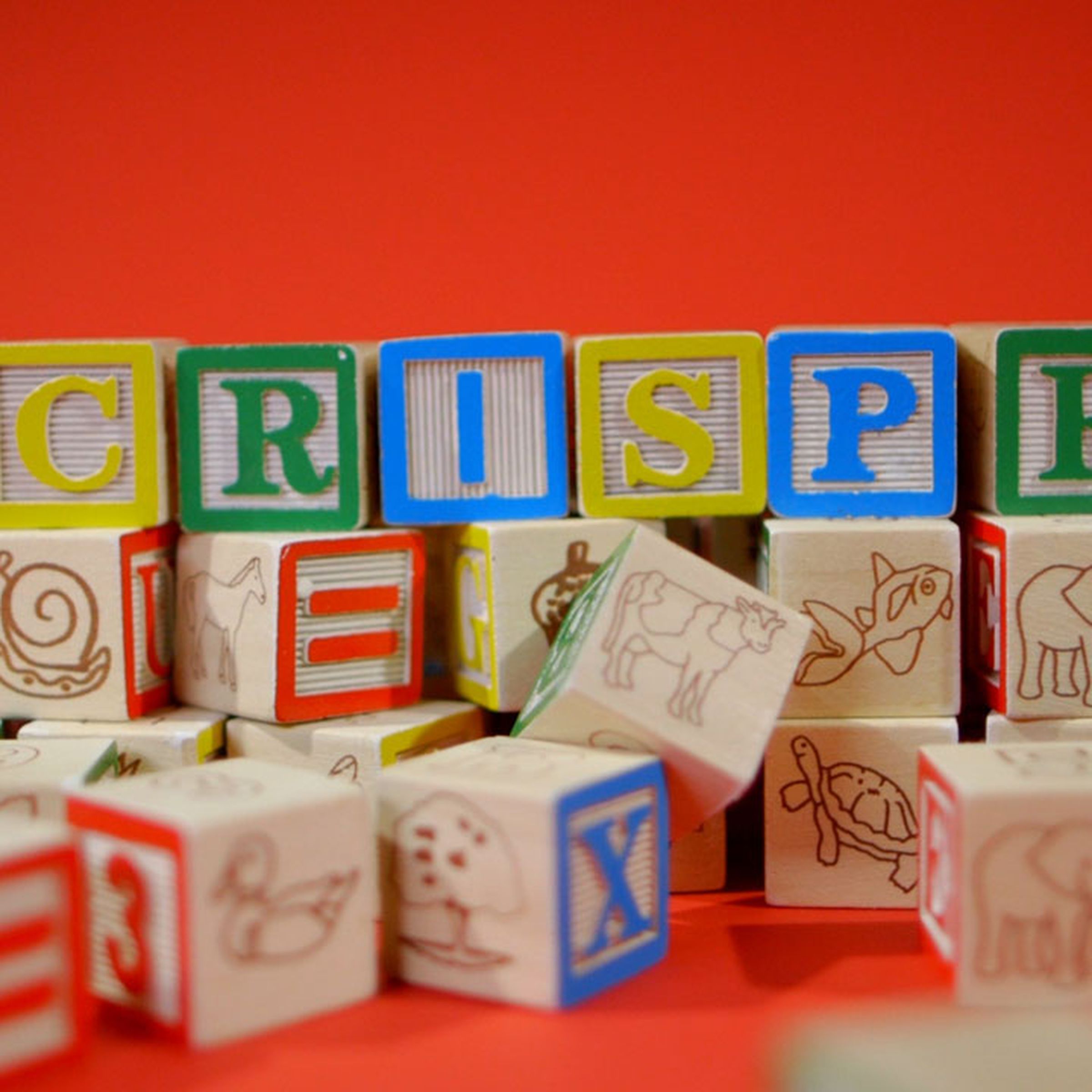 CRISPR lets scientists manipulate the building blocks of life.