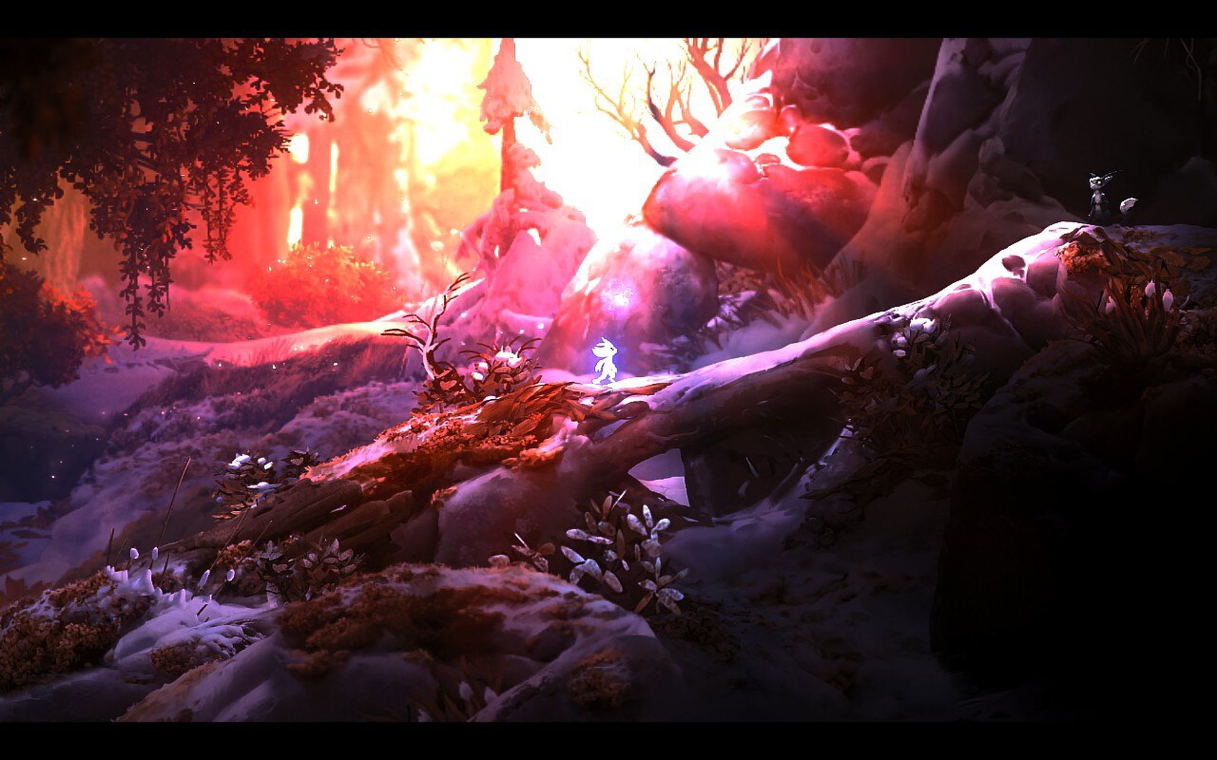 Ori and the Will of the Wisps — a screenshot I took on the Deck that doesn’t do it justice.