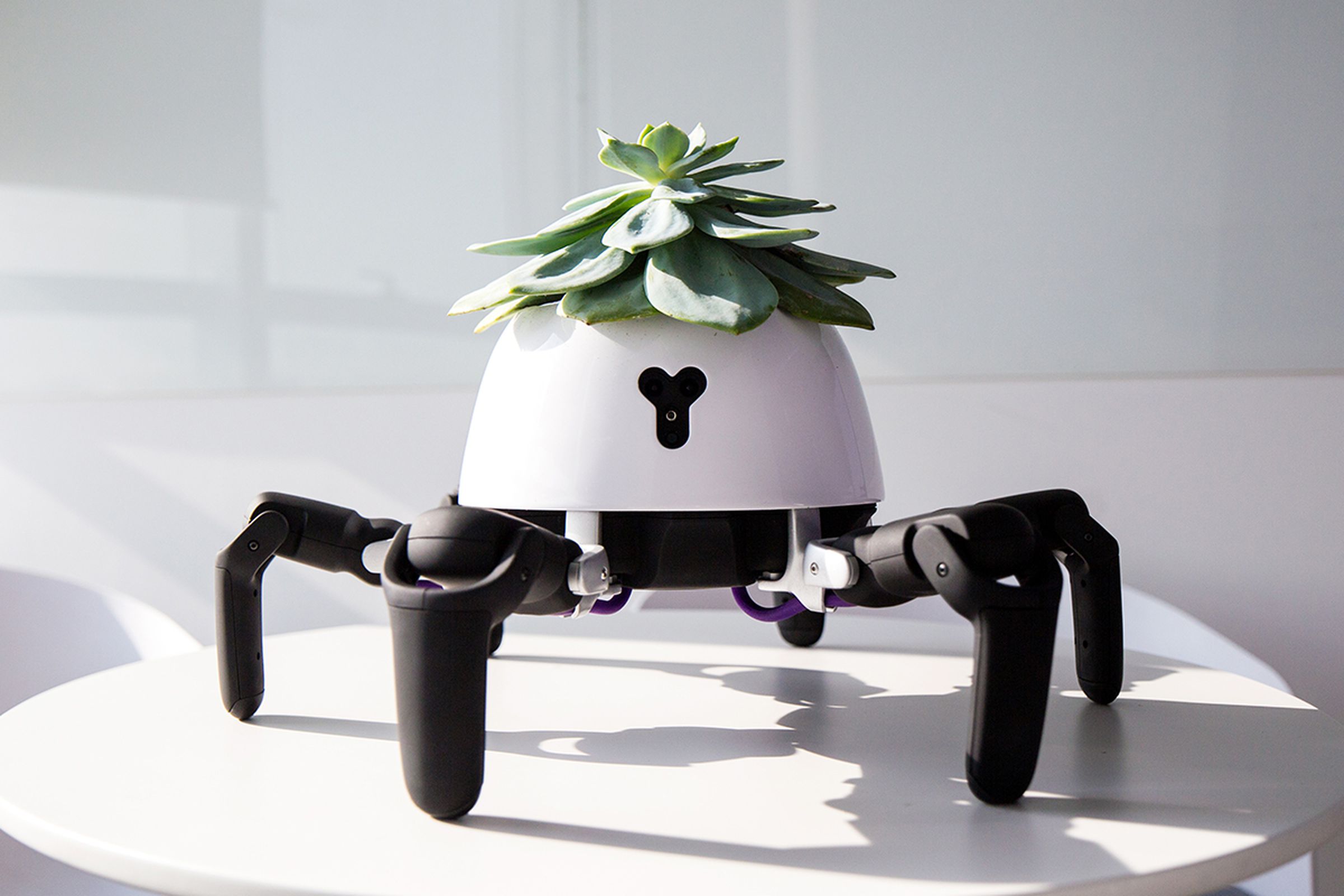 The robot-plant hybrid, built by Vincross founder Sun Tianqi.