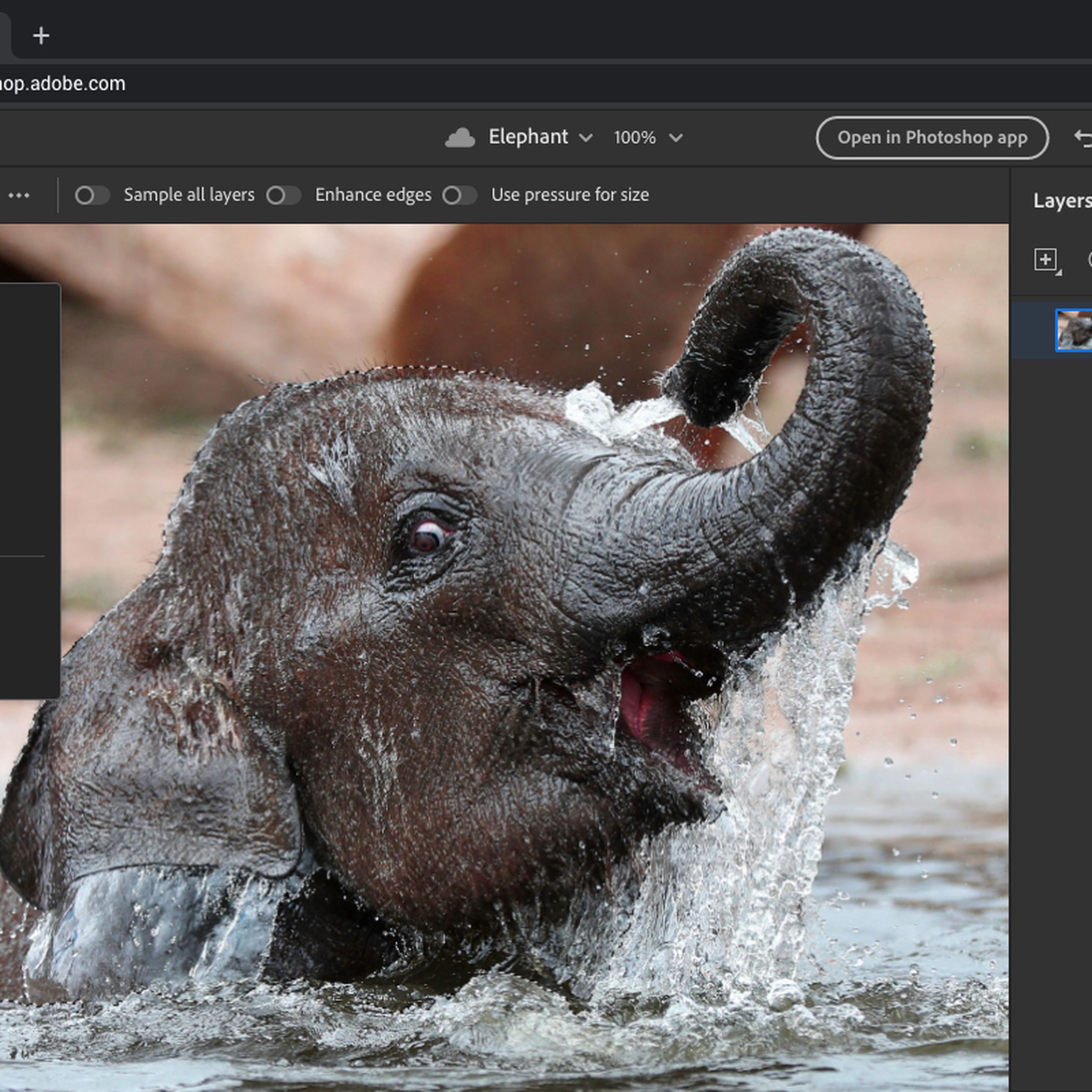 The beta of Photoshop on the web.